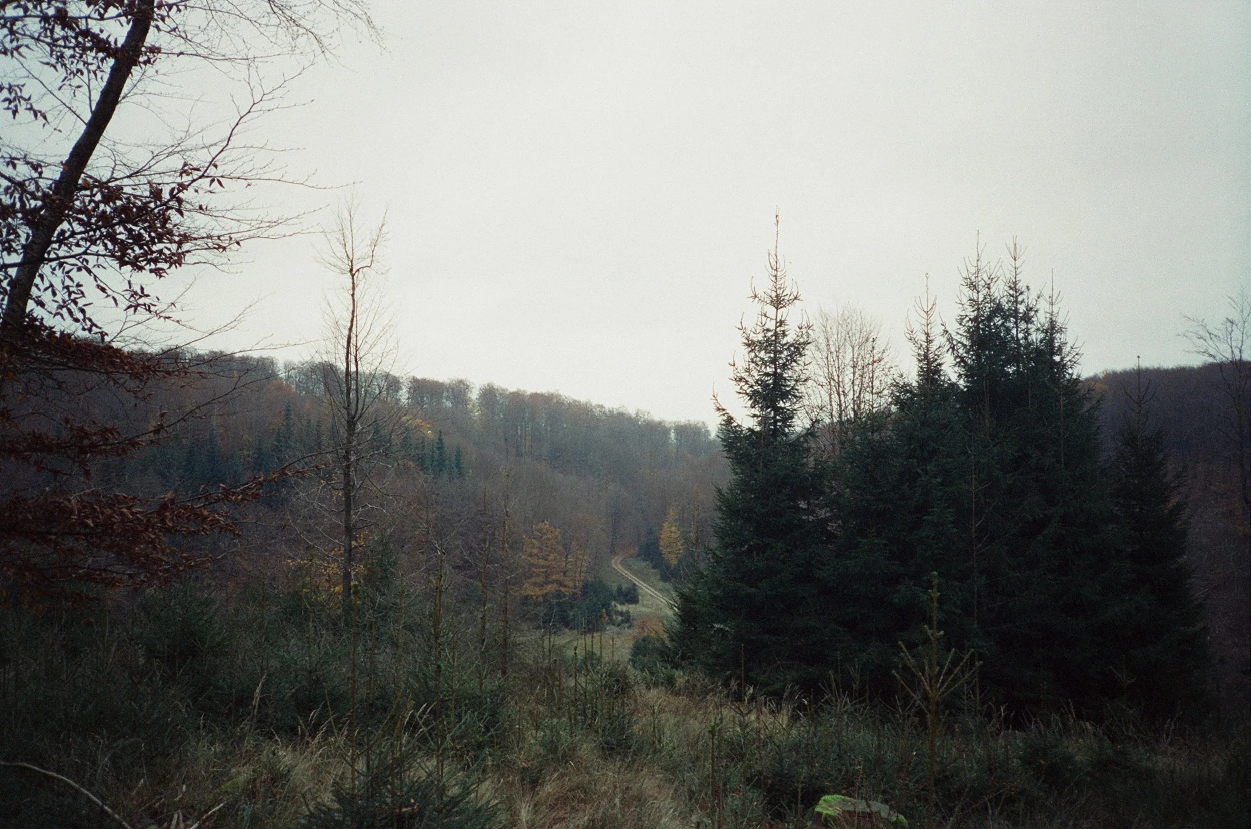 neff_35-26.jpg
