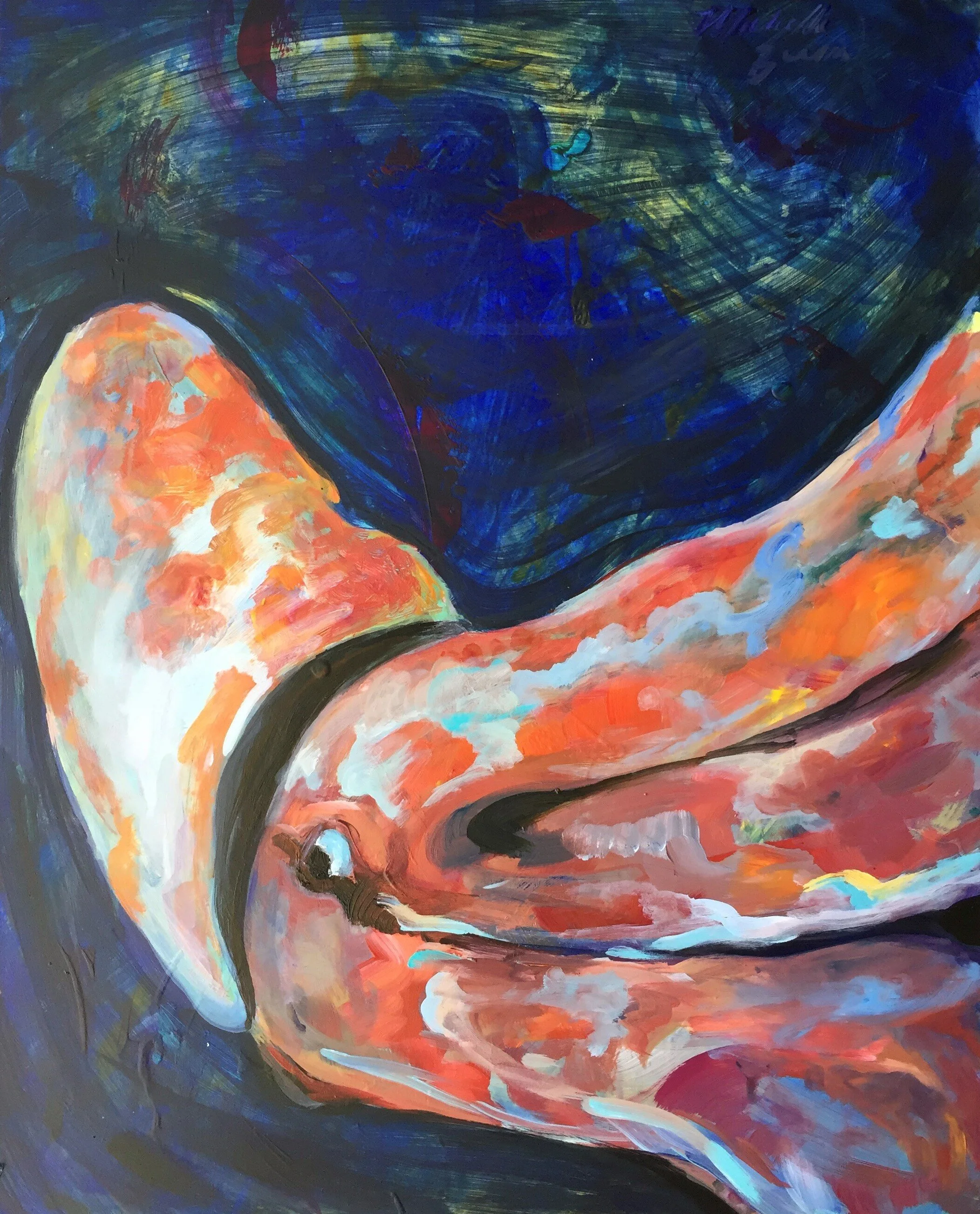 Architeuthis dux passes through