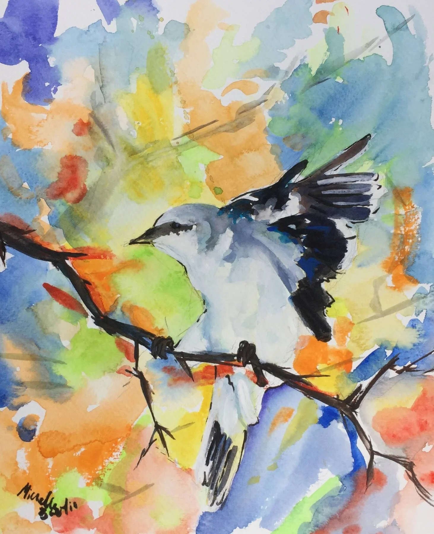 Shrike in Colors