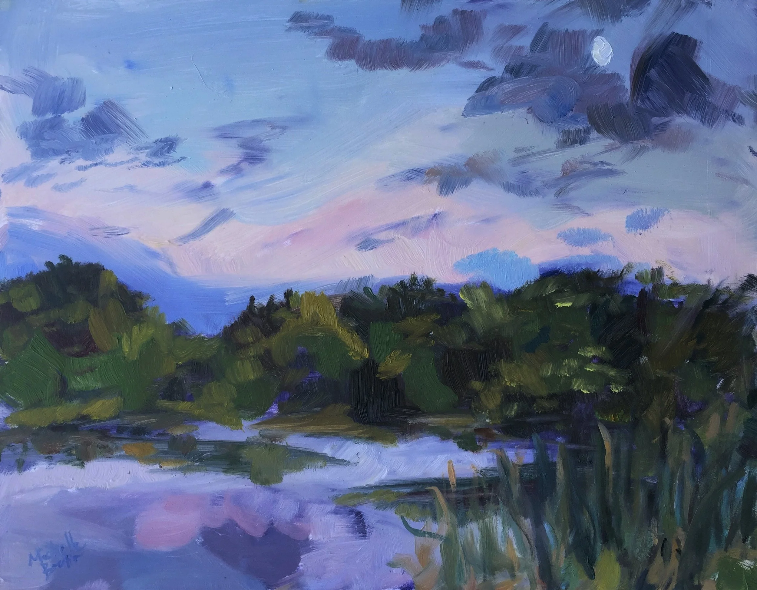 I saw the moon in evening.JPG