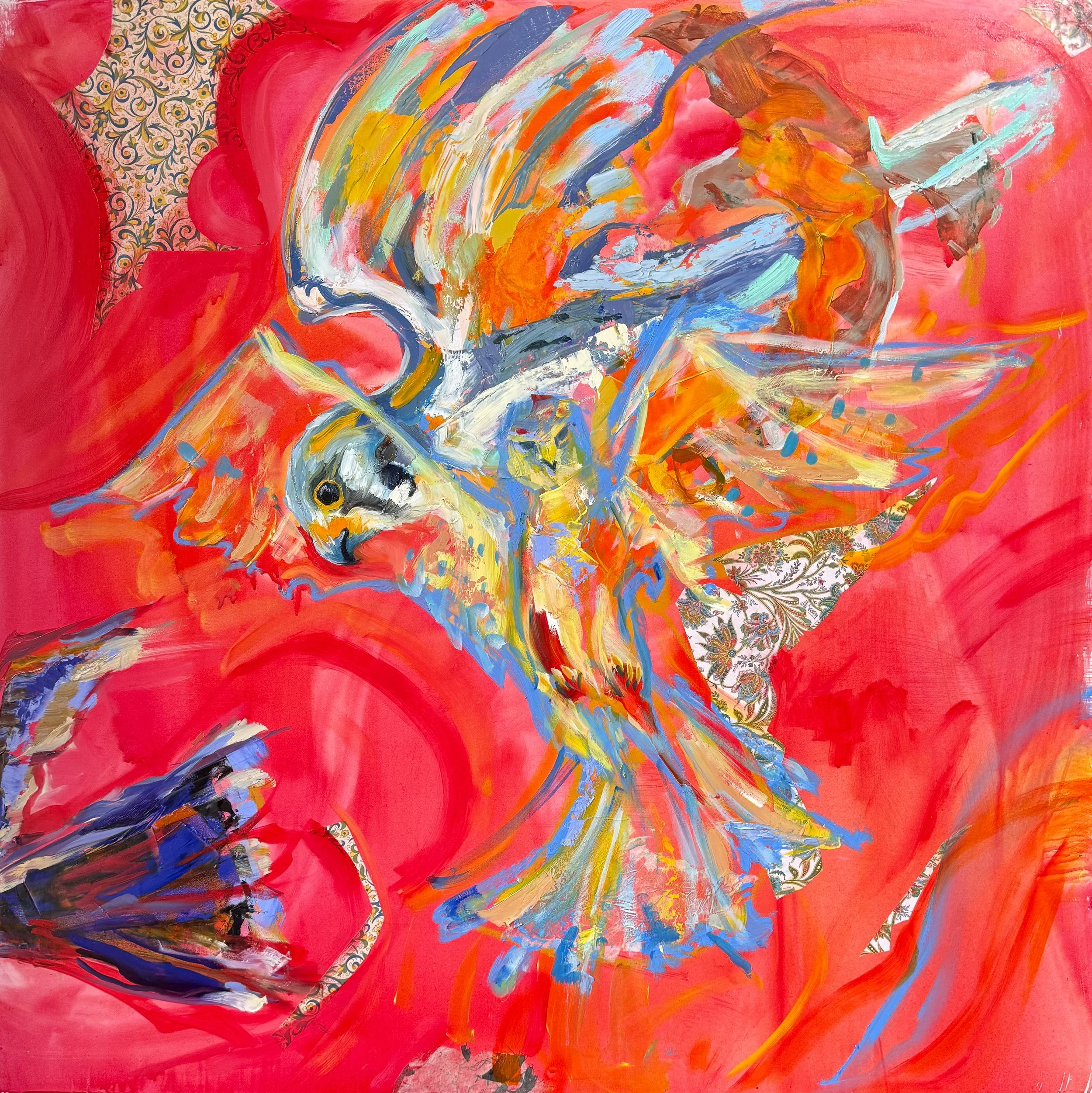  The Motion of Kestrels , 2026. 30" x 30". Oil and collage on wood. 
Kestrels in flight!