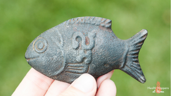 Lucky Iron Fish. An anemia prevention tool. Read more here or pin for later. - Health Happens at Home
