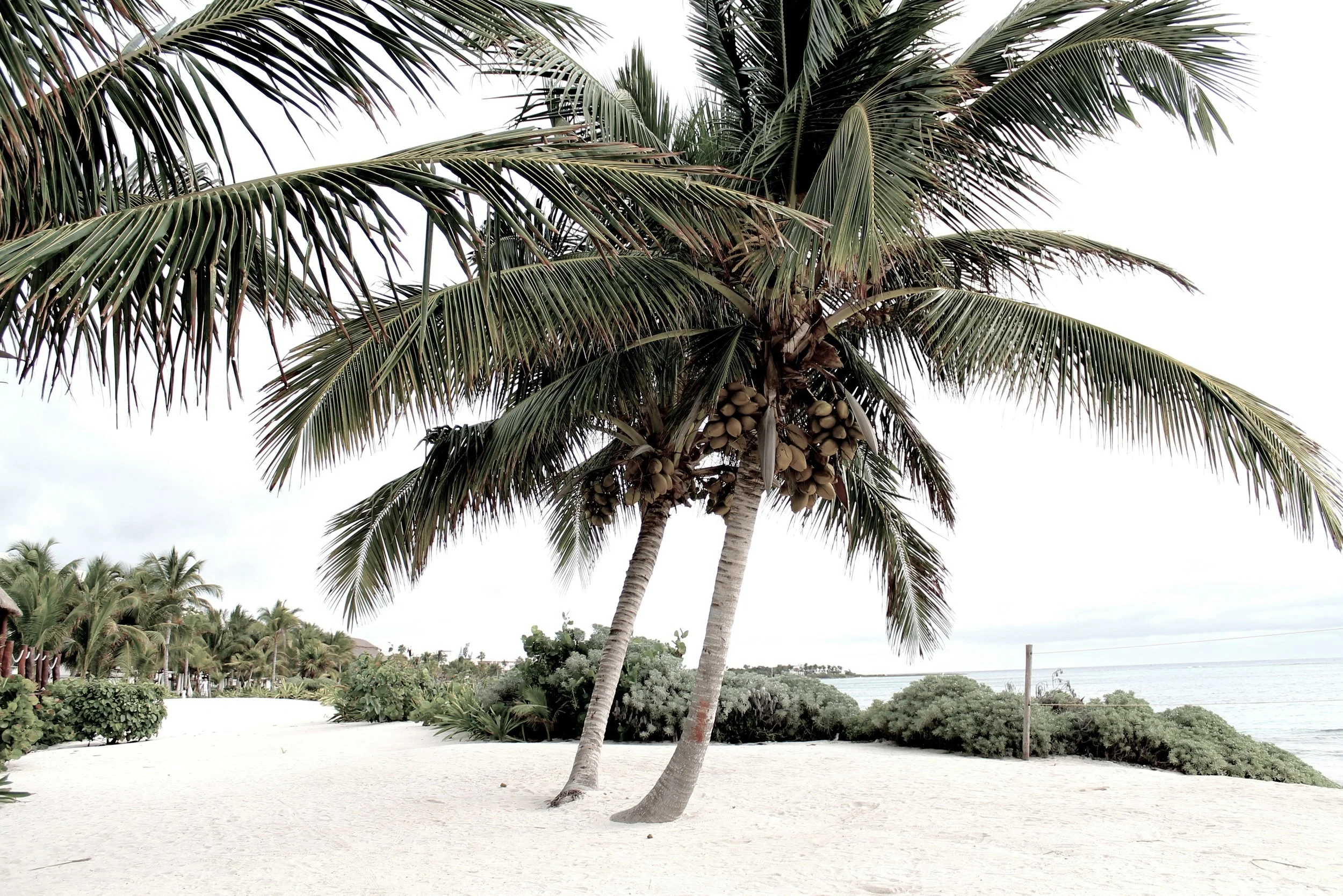 Playlist / No Bad Days 