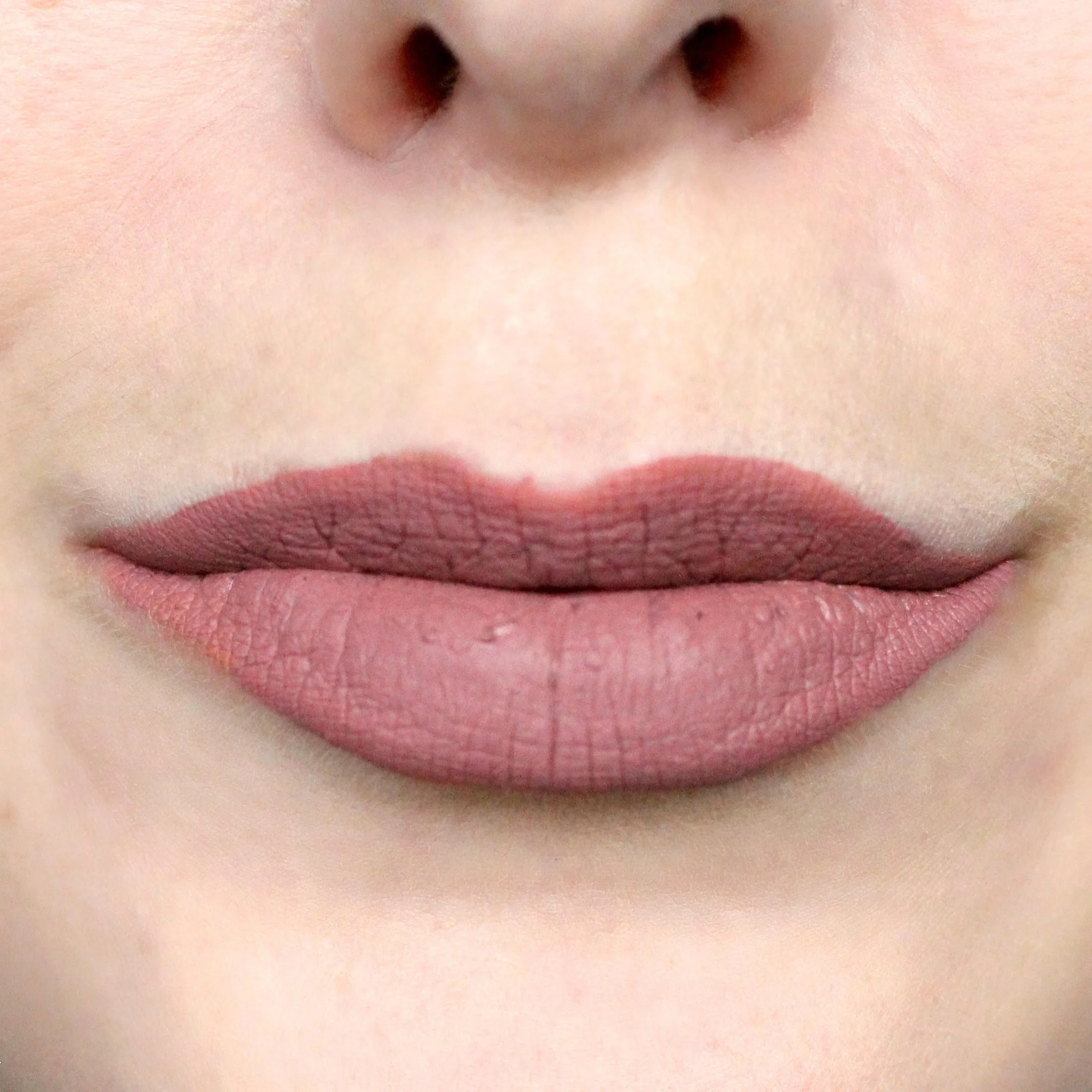 Make Up For Ever Artist Liquid Matte Lipstick in 105.