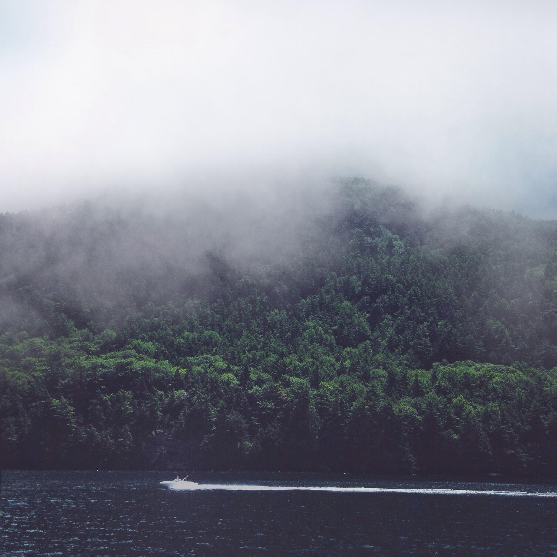 Lake George, 2015