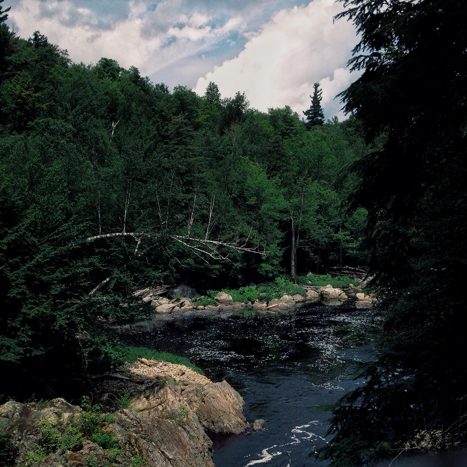 High Falls Gorge, 2015