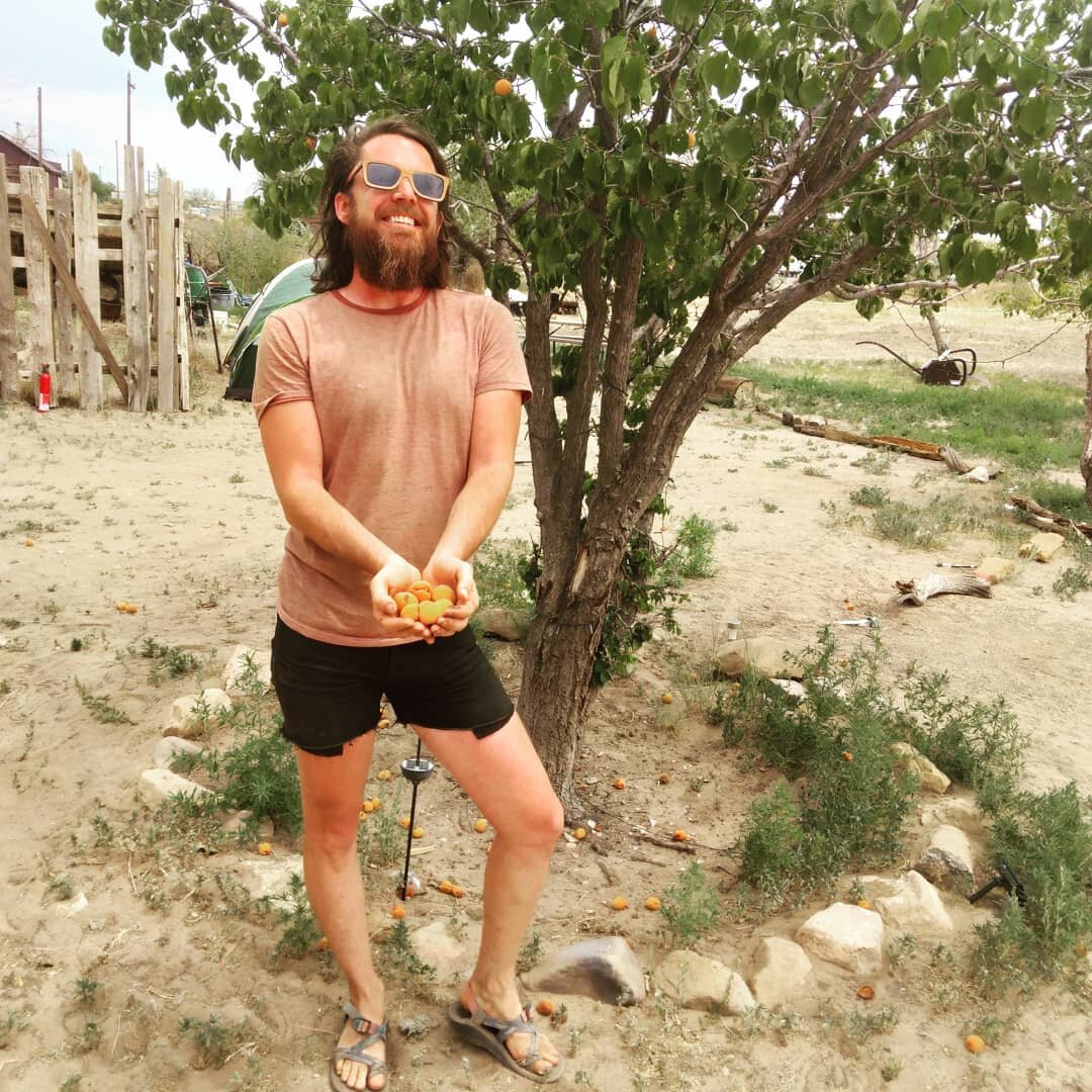 Summer gifts from our apricot trees 😍 

#solstice #fruittrees #thedesertmoon #apricot #fruiting #travelmoab #moabutah #utah