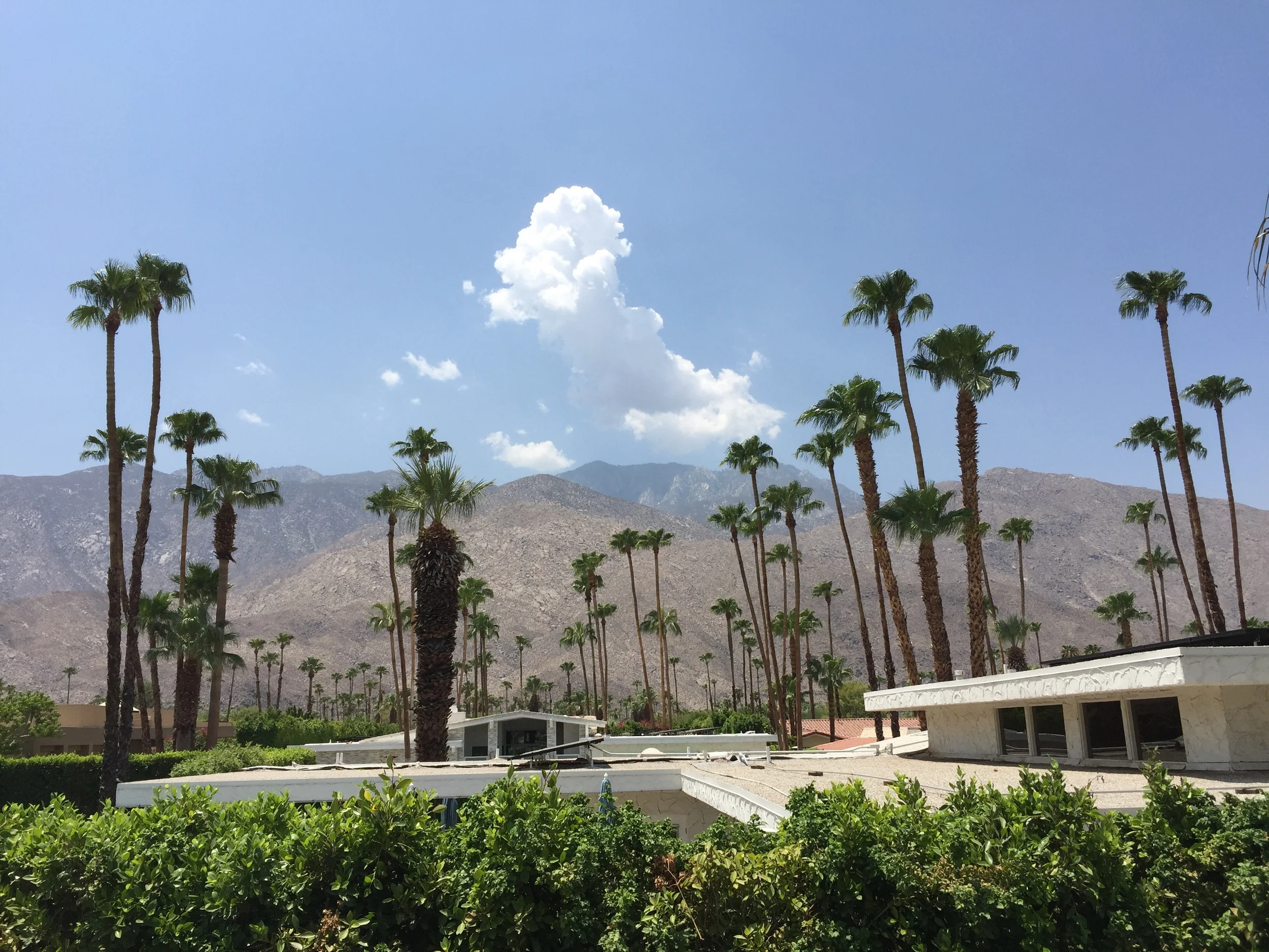 Palm Springs. Hot!