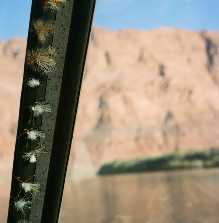 The Flies Small.jpg