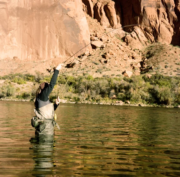 Tight Lines Small.jpg