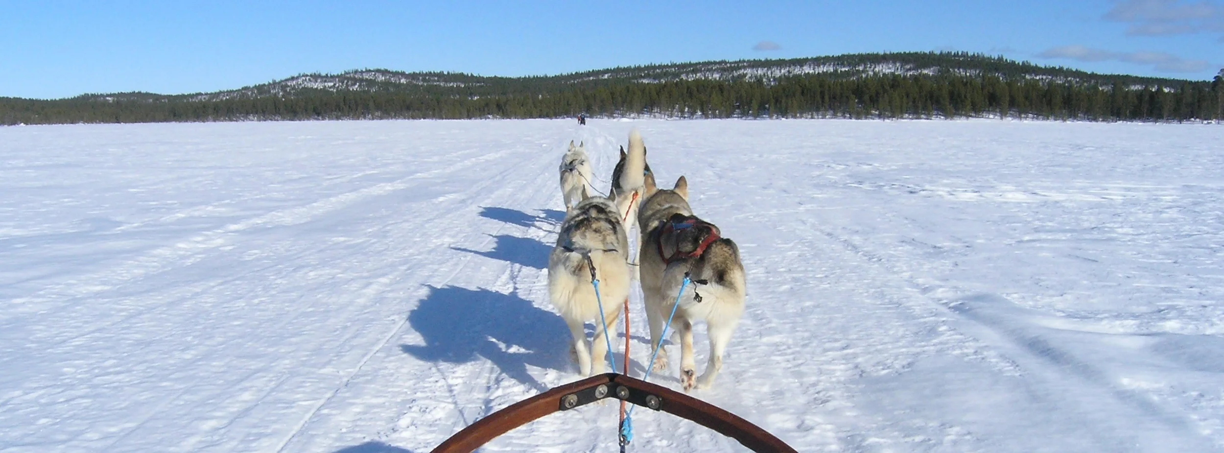 dogsledding.jpg