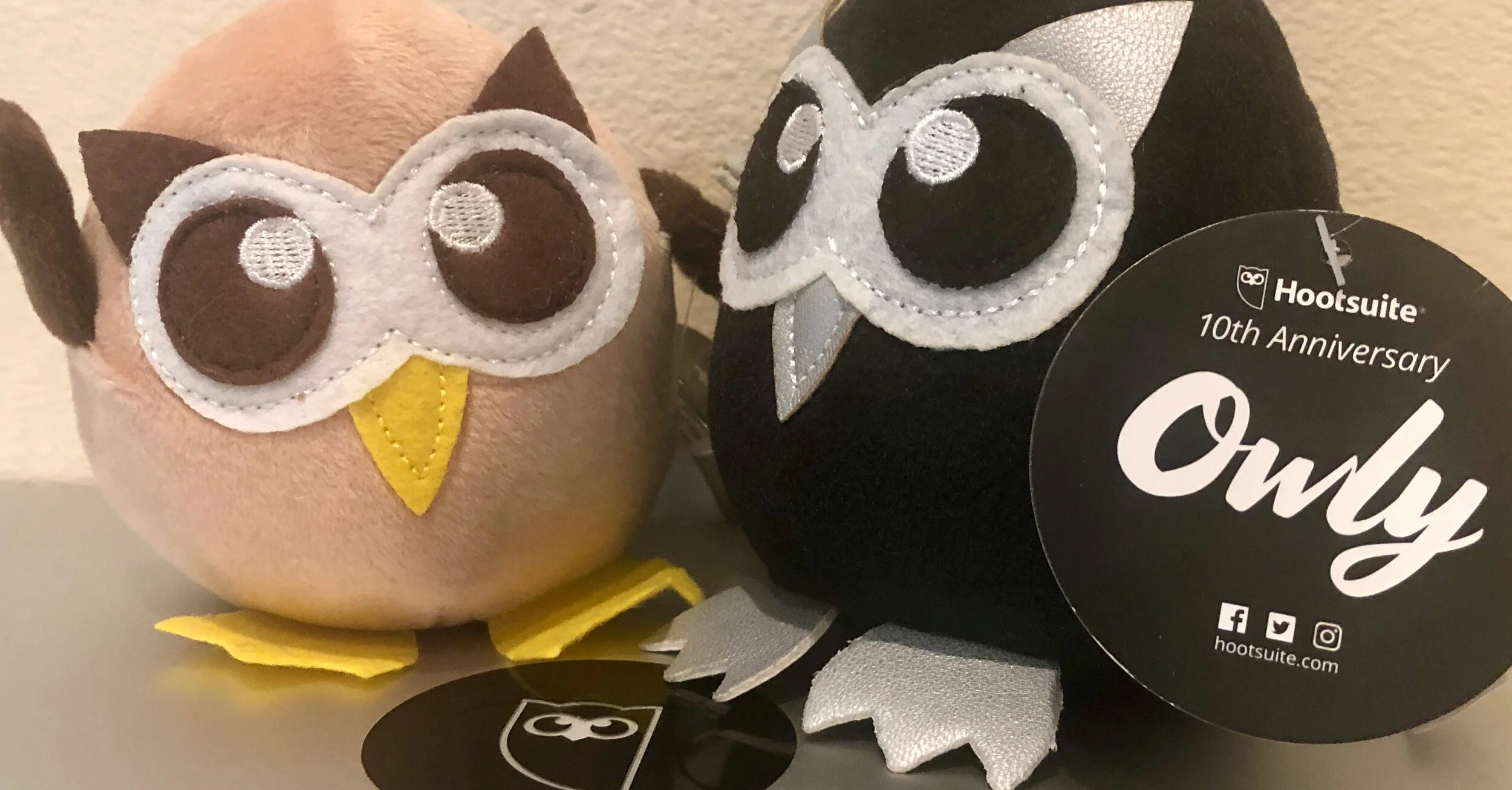 Once an owl, always an owl