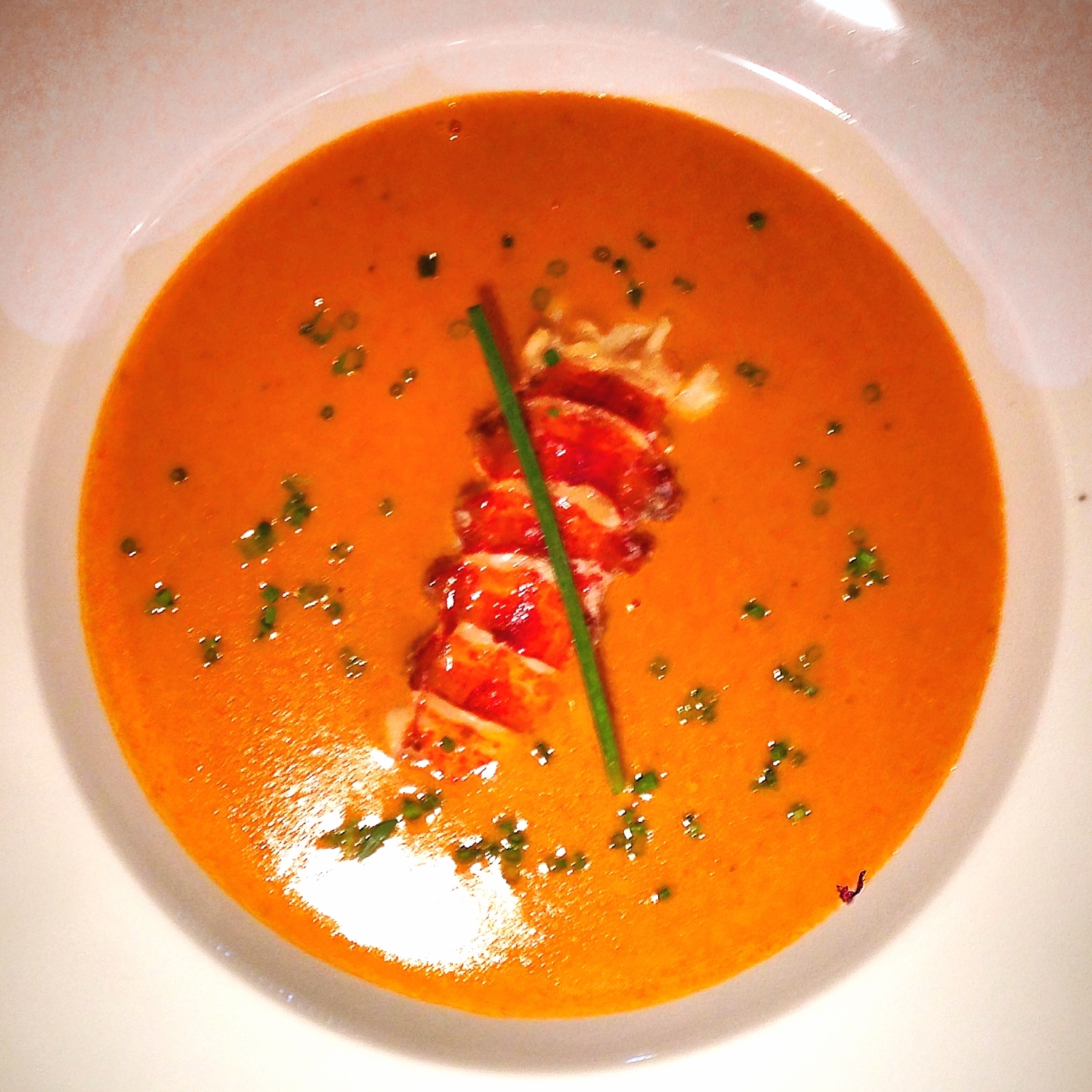 Lobster Tail Bisque