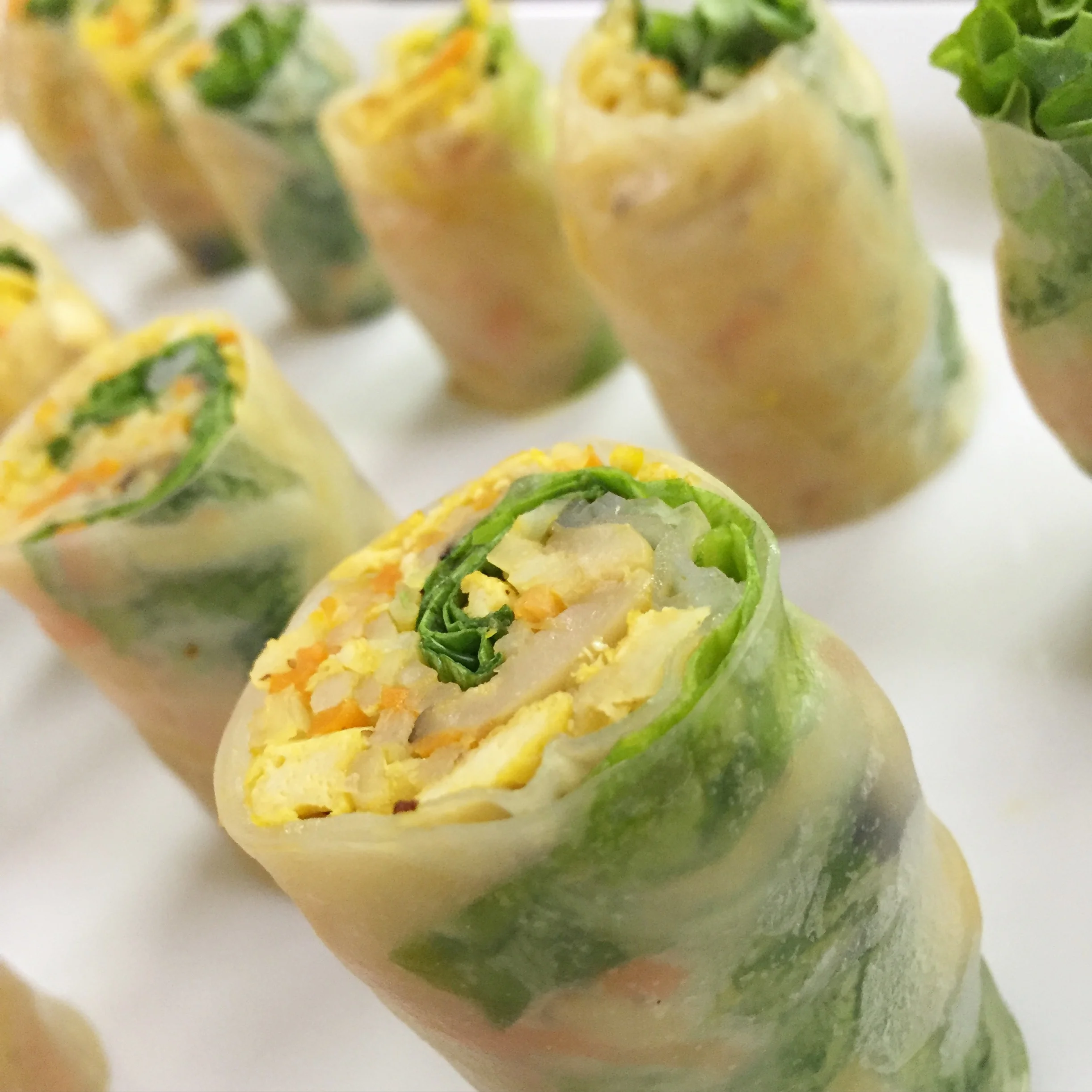 Vegetarian Spring Rolls