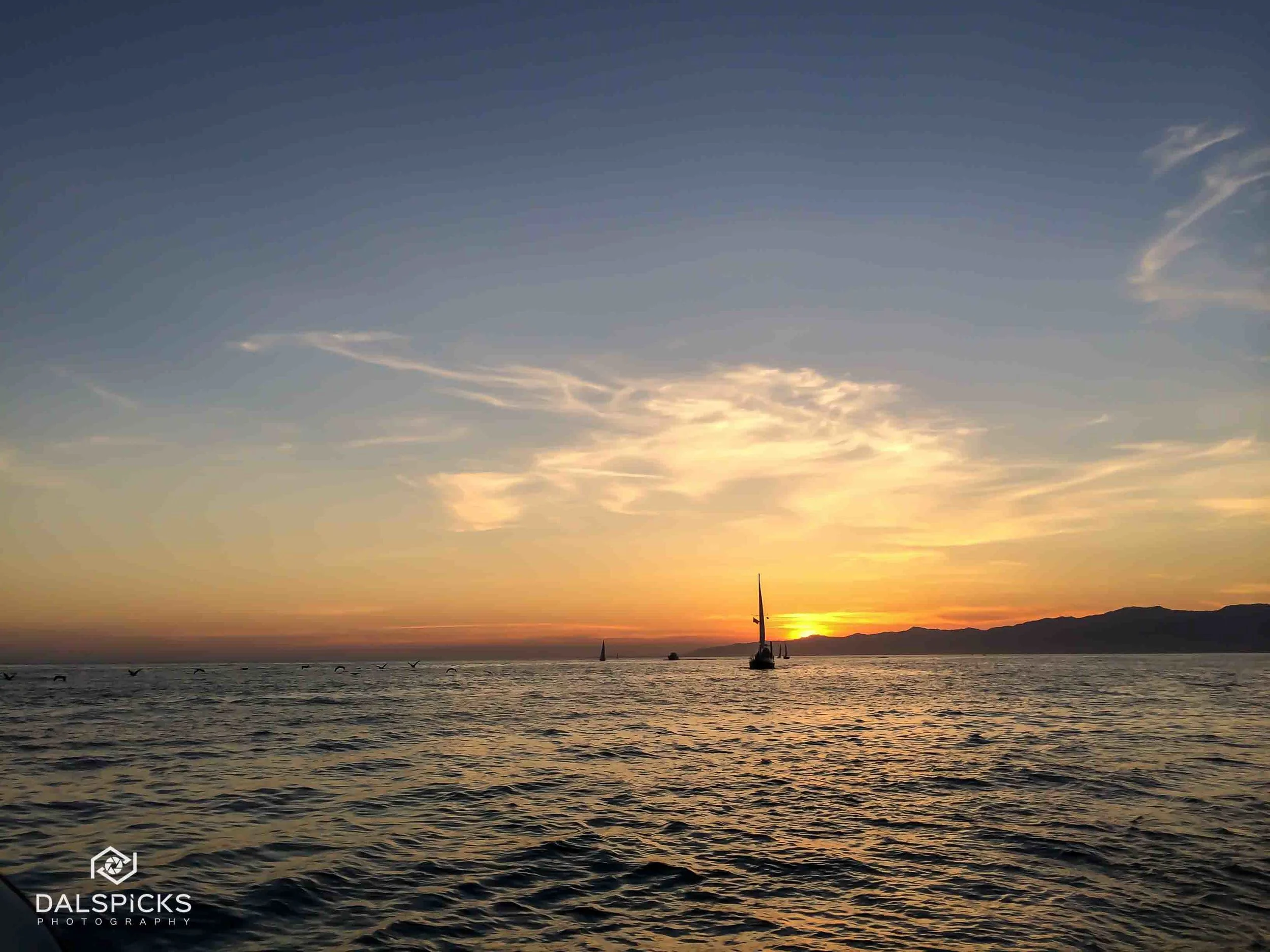 15.04.10.sail-1.jpg