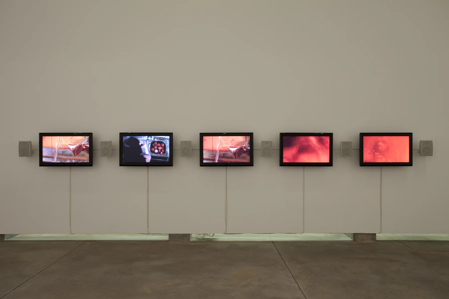 Installation at the Belkin Art Gallery, Vancouver 2009.