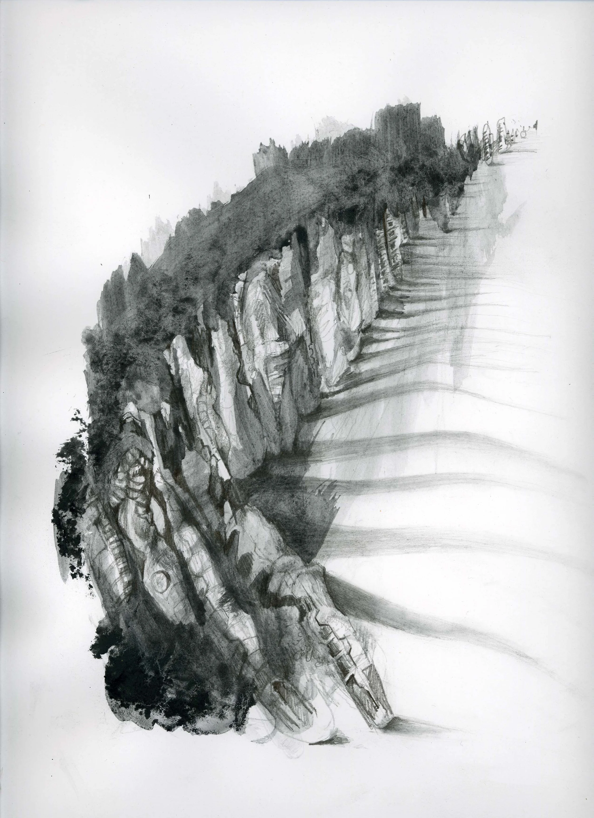 titlepage1a copy.jpg