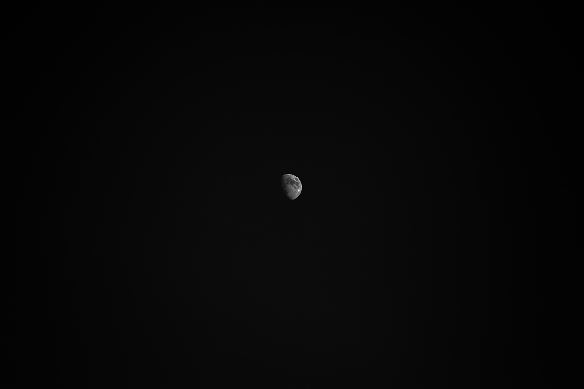 Dark Night