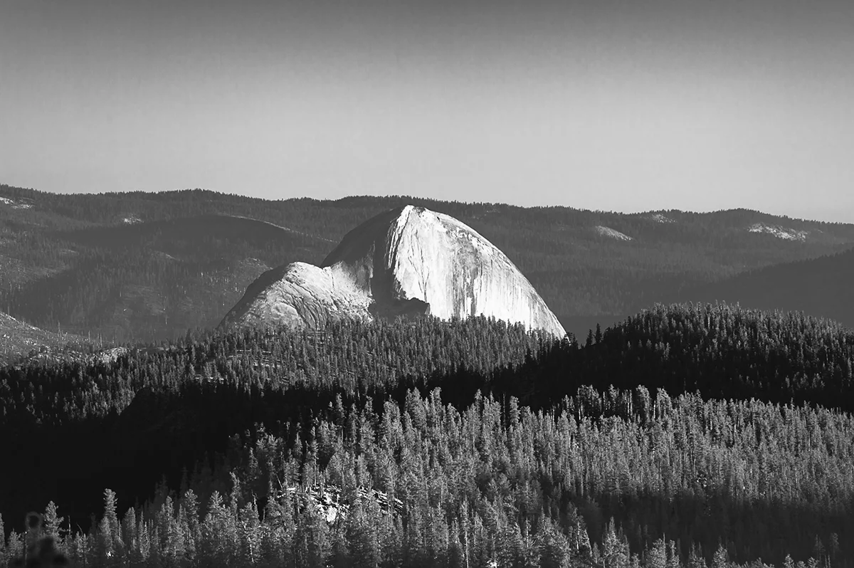 Mount Angel?