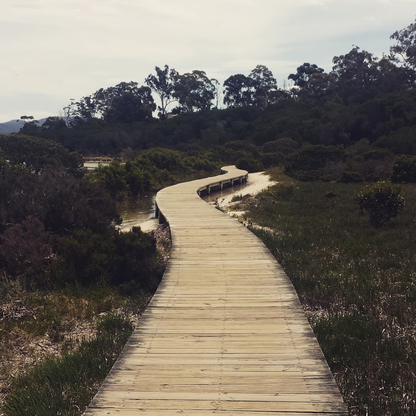 On the [Merimbula] Boardwalk...