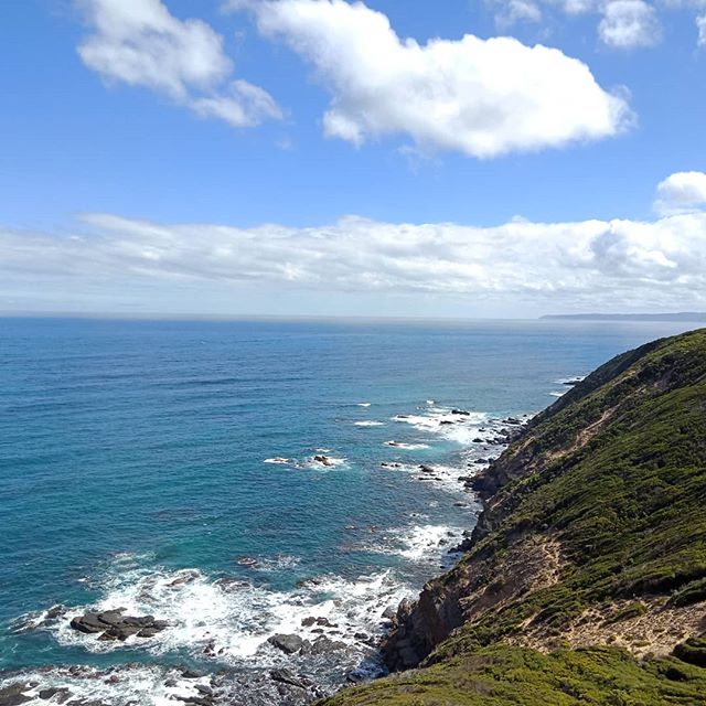 It was a great few days hiking half the Great Ocean Walk
A reminder of the world outside of cities and built spaces
Of roaring oceans and curious koalas
Consuming thunderstorms and pristine, starry skies
Escaping the pounding thoughts and modern ailments that bind us to our rhythms
For the freedom of one step in front of another
#adventures #wilderness #wildernessexplorer #hiking #greatoceanwalk