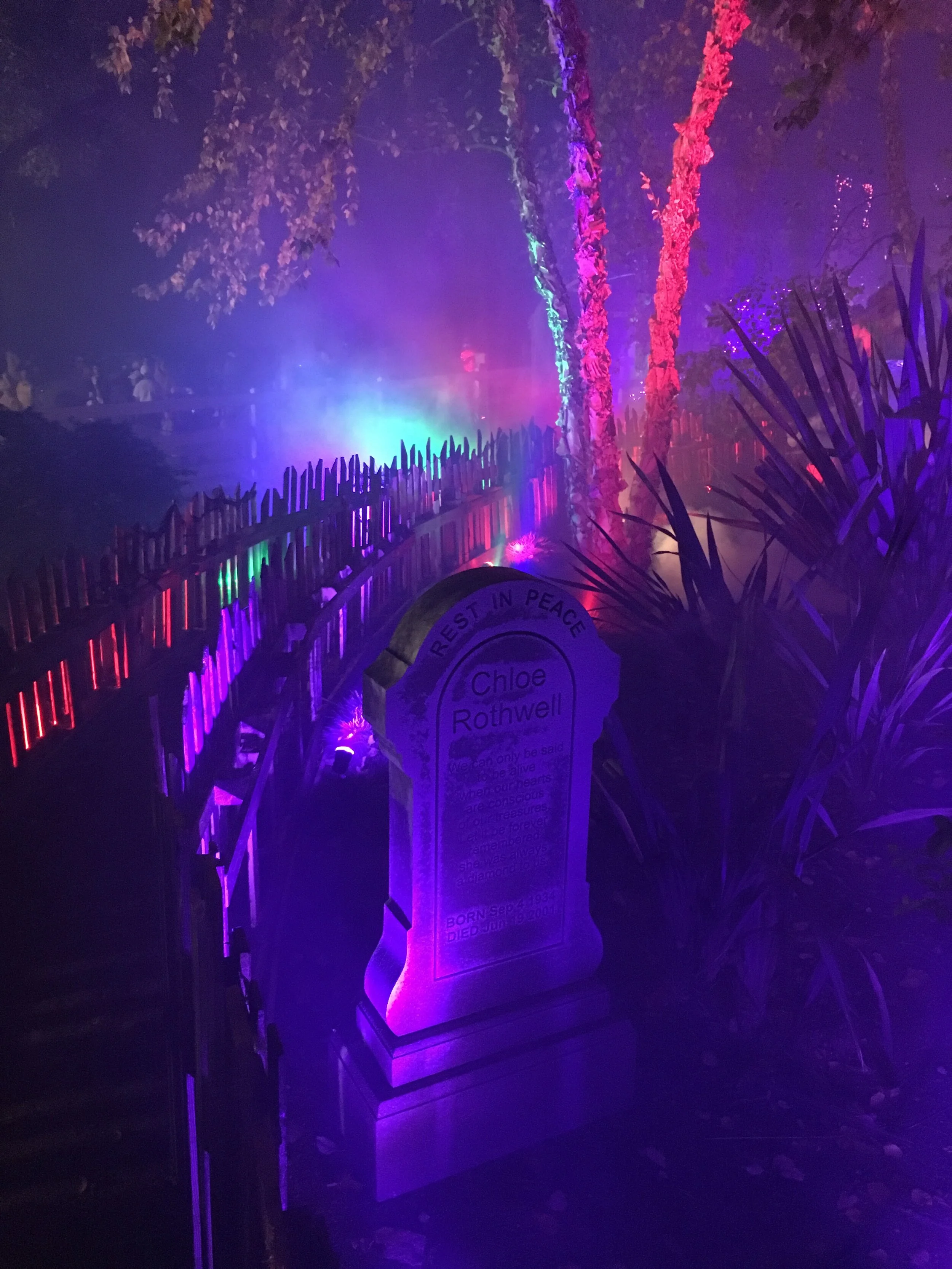 Decorating Package + Haunted House — The Best Halloween Store Ever!