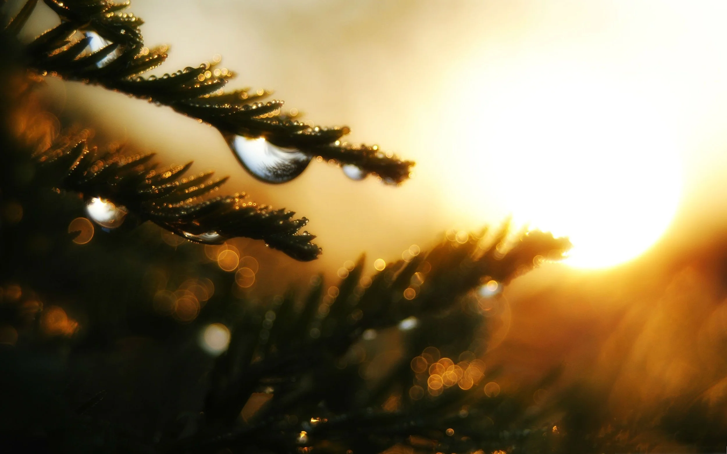 Enjoy the differences!