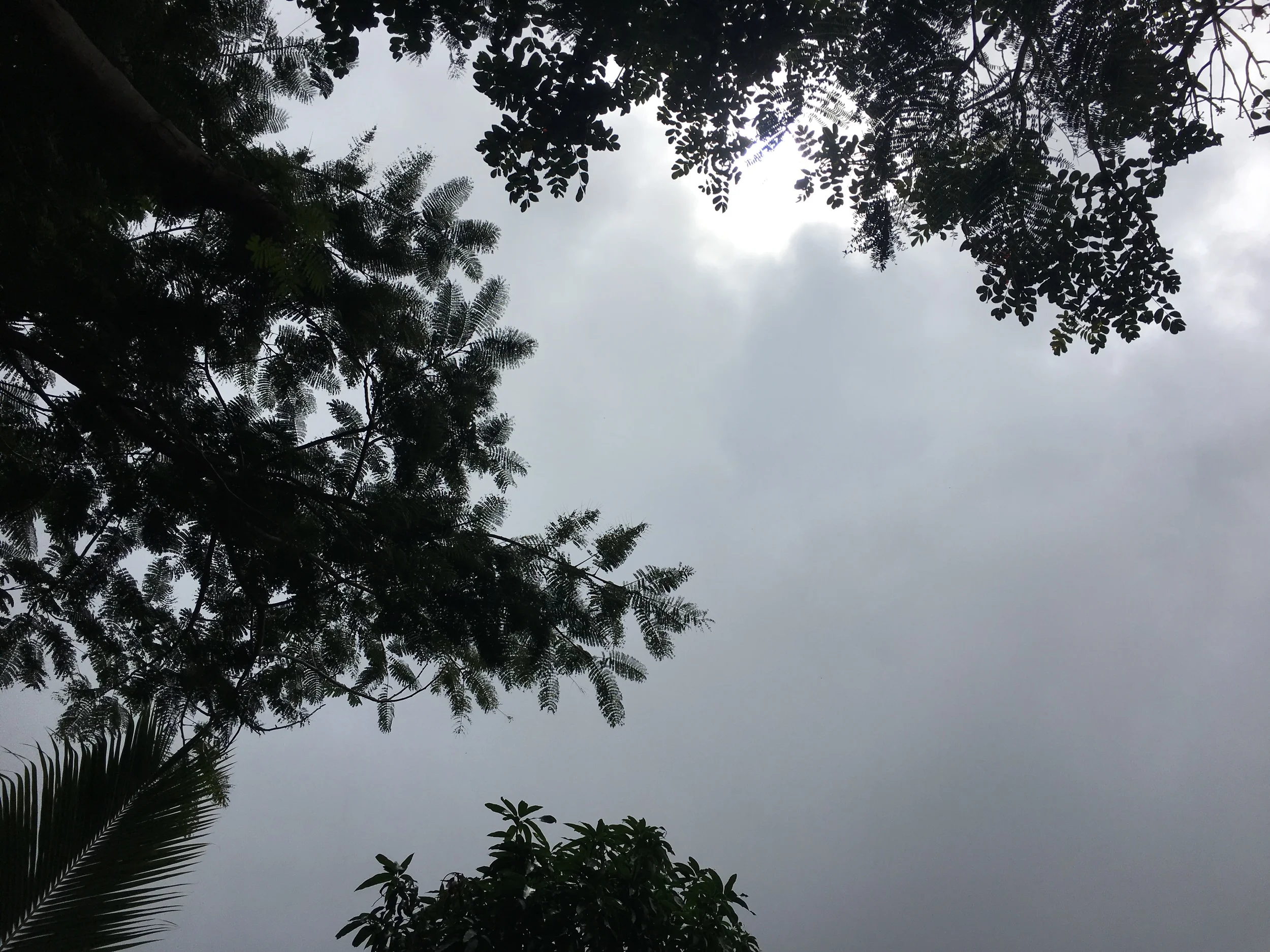 To-do lists will always be there