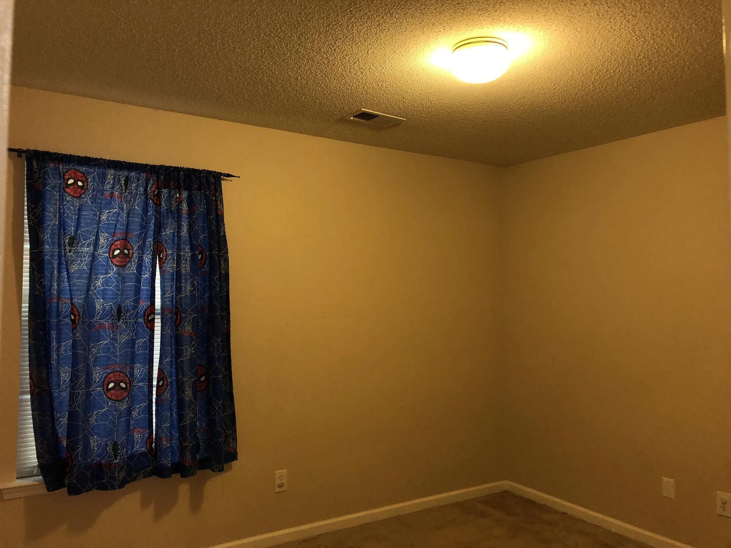 IMG_0184.jpeg