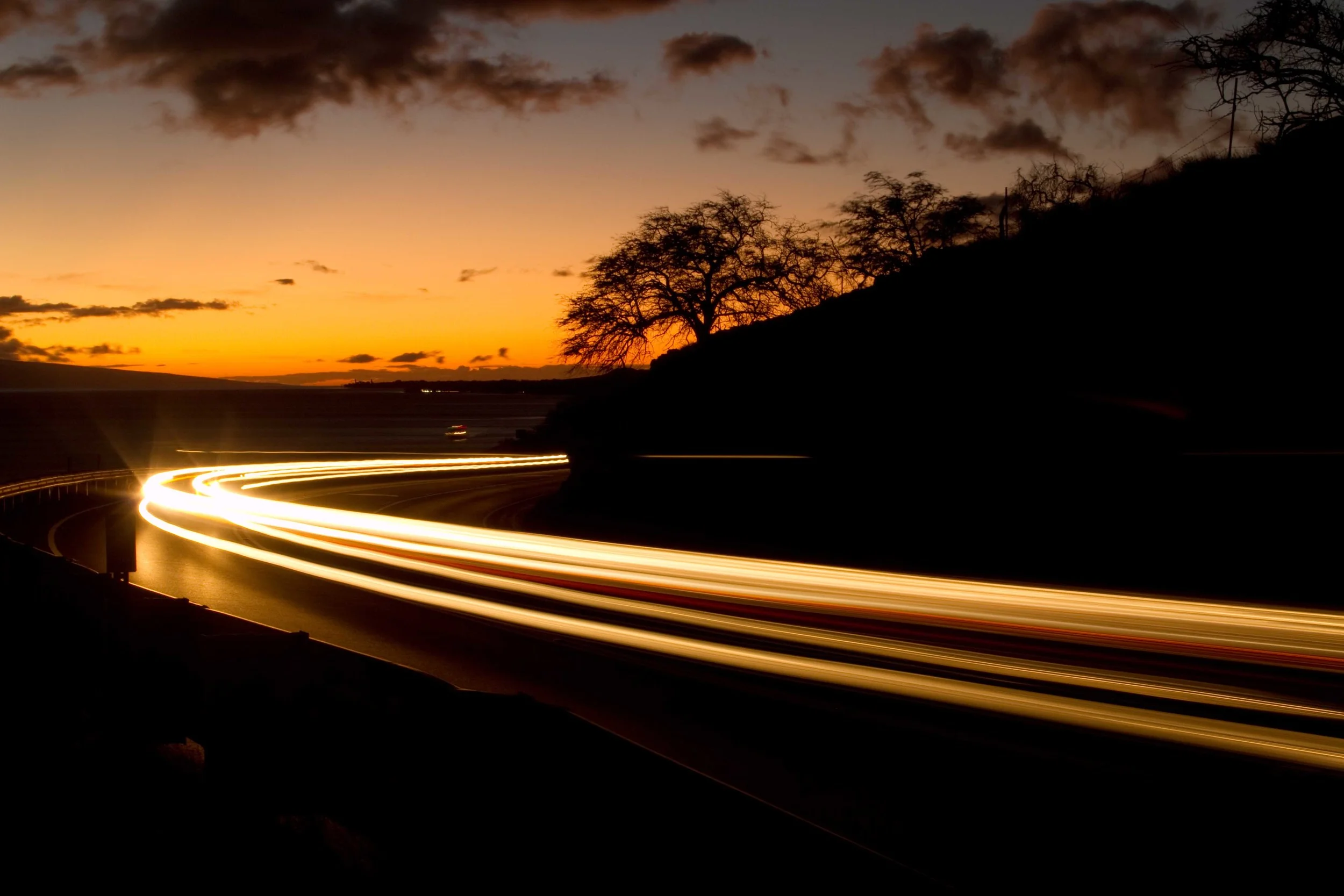 Follow the Light