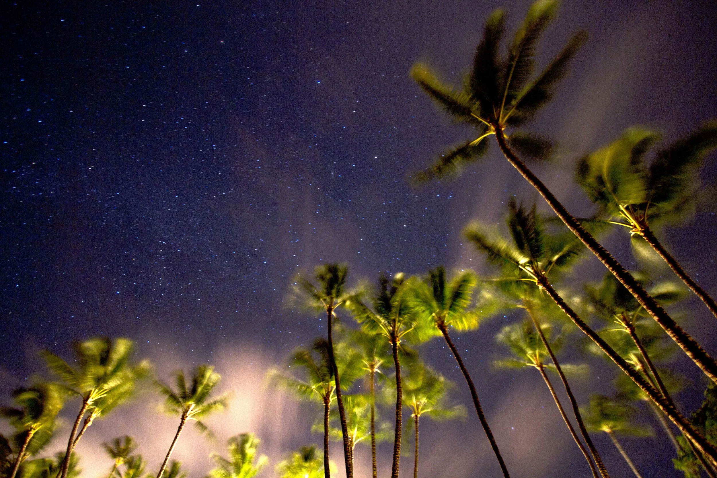 A Maui Dream