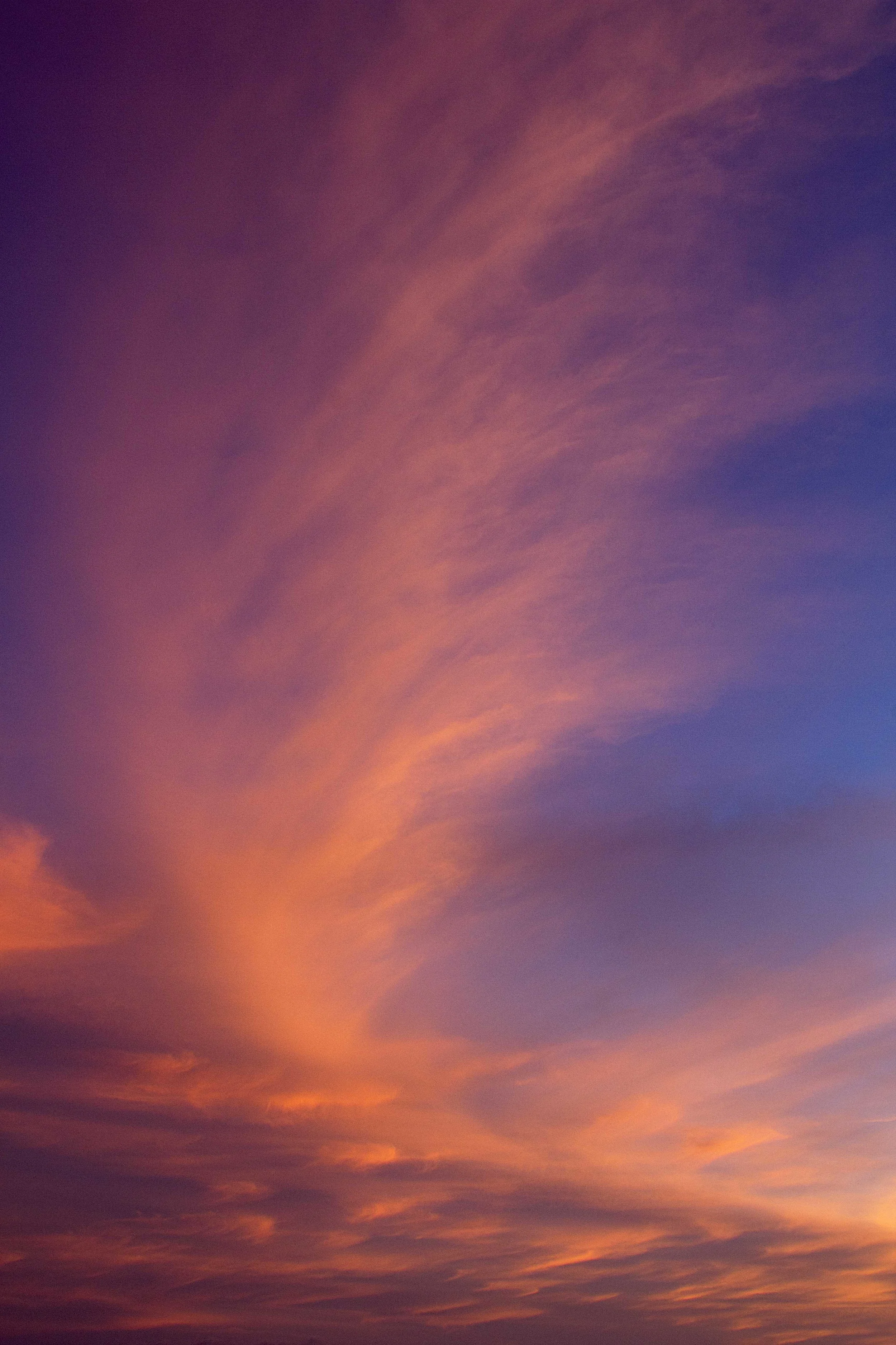 God's Feather