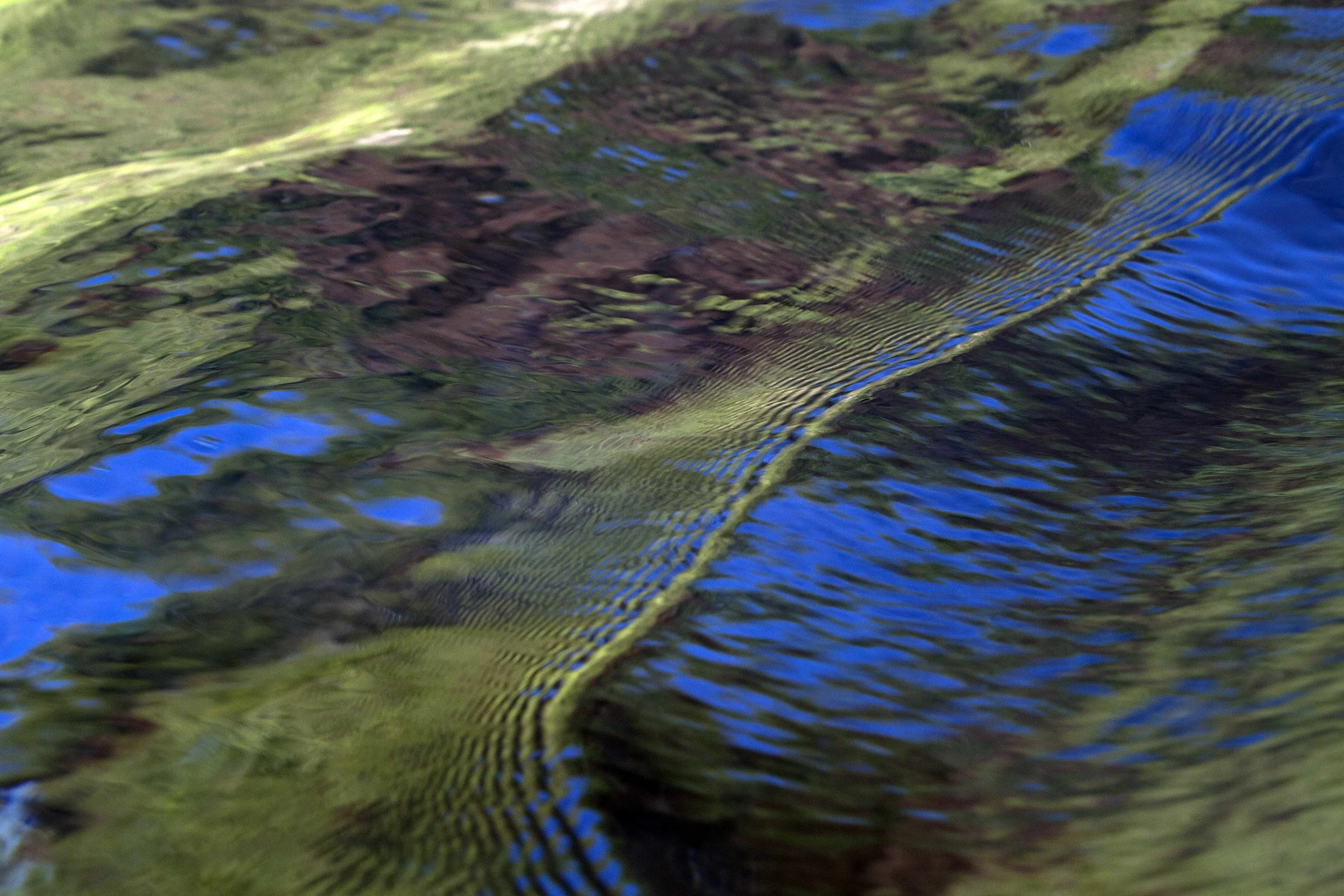 Reflection of Land