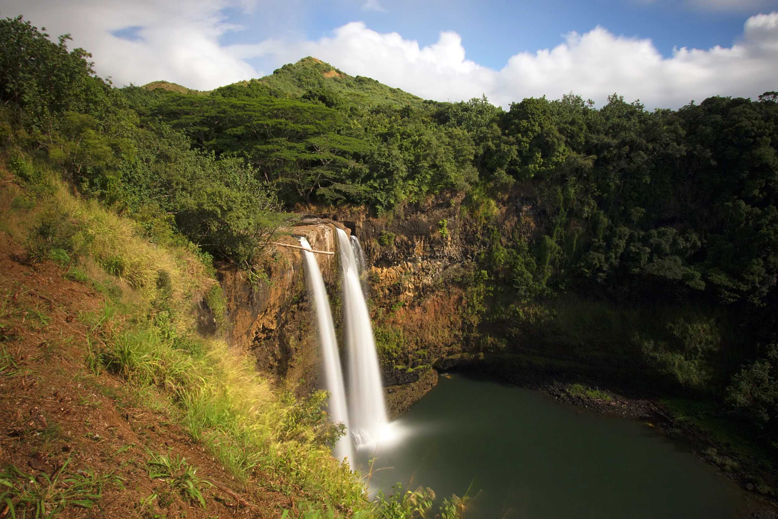 Wailua Treat