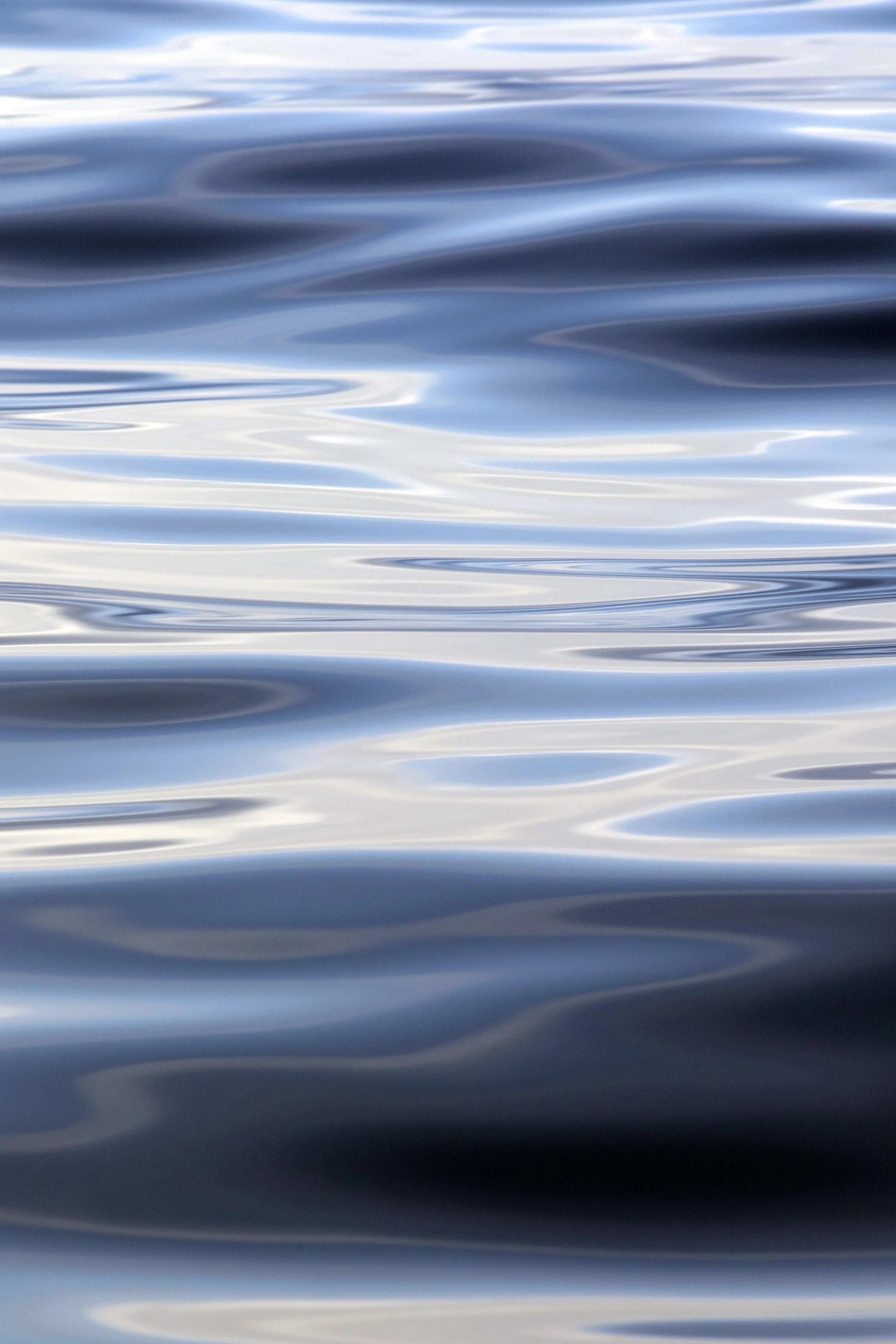 Light Motion