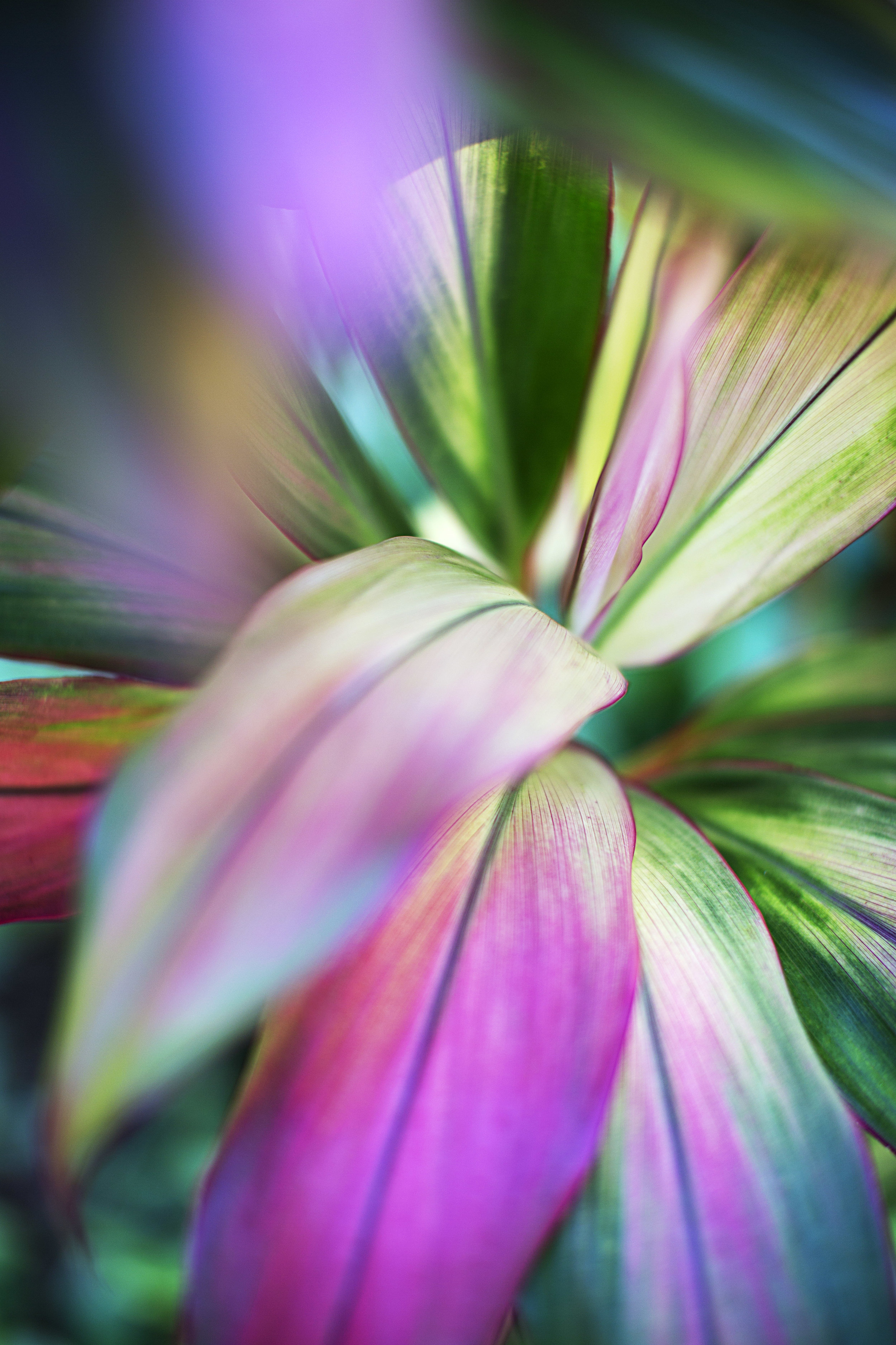 Leaves Of Change