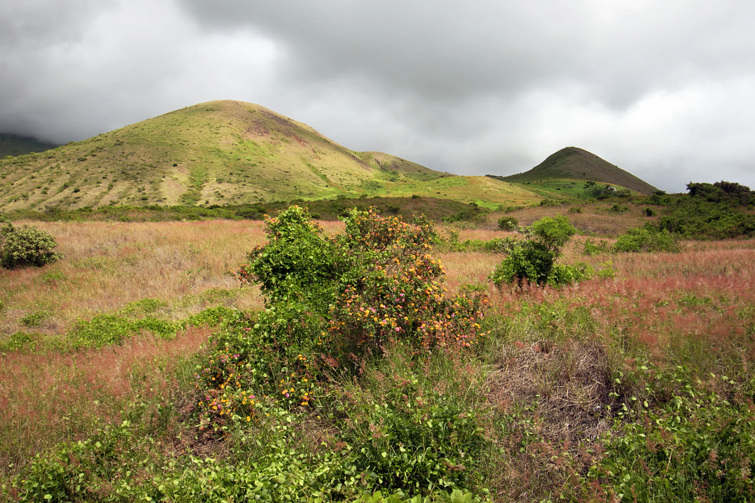 Upcountry Colors