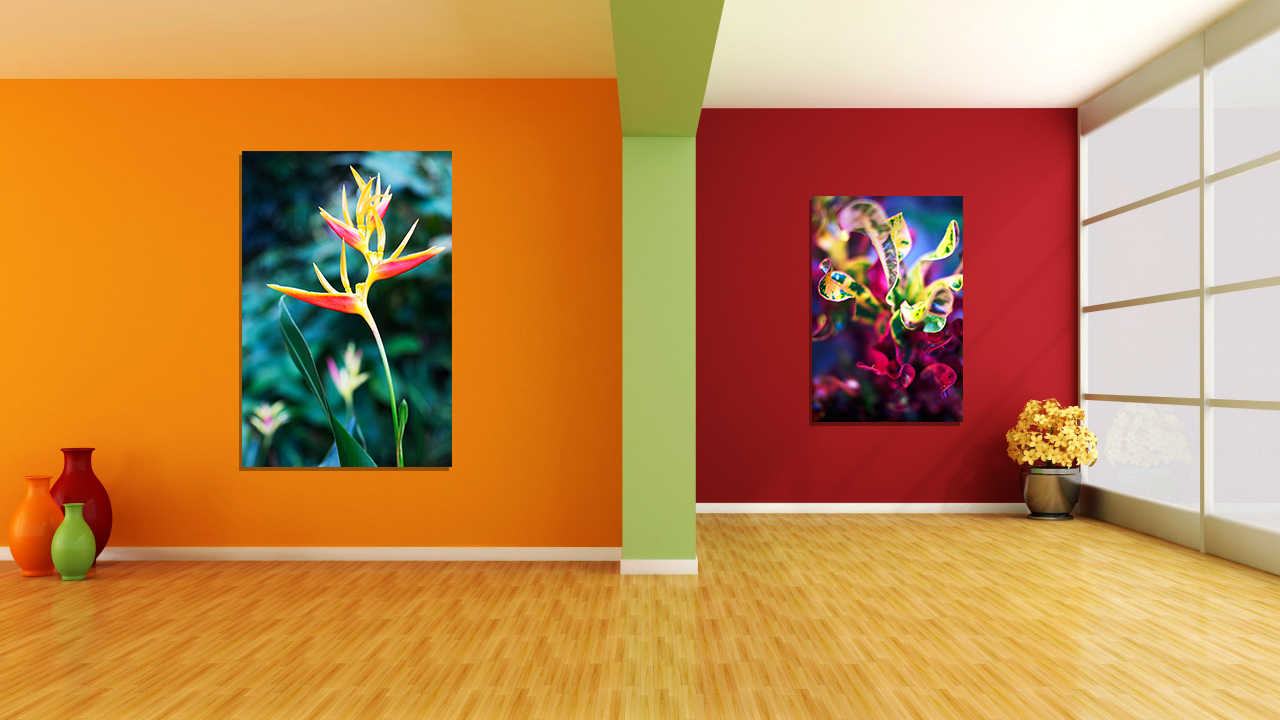 walls_design_room_pot_pots_80712_1280x720.jpg