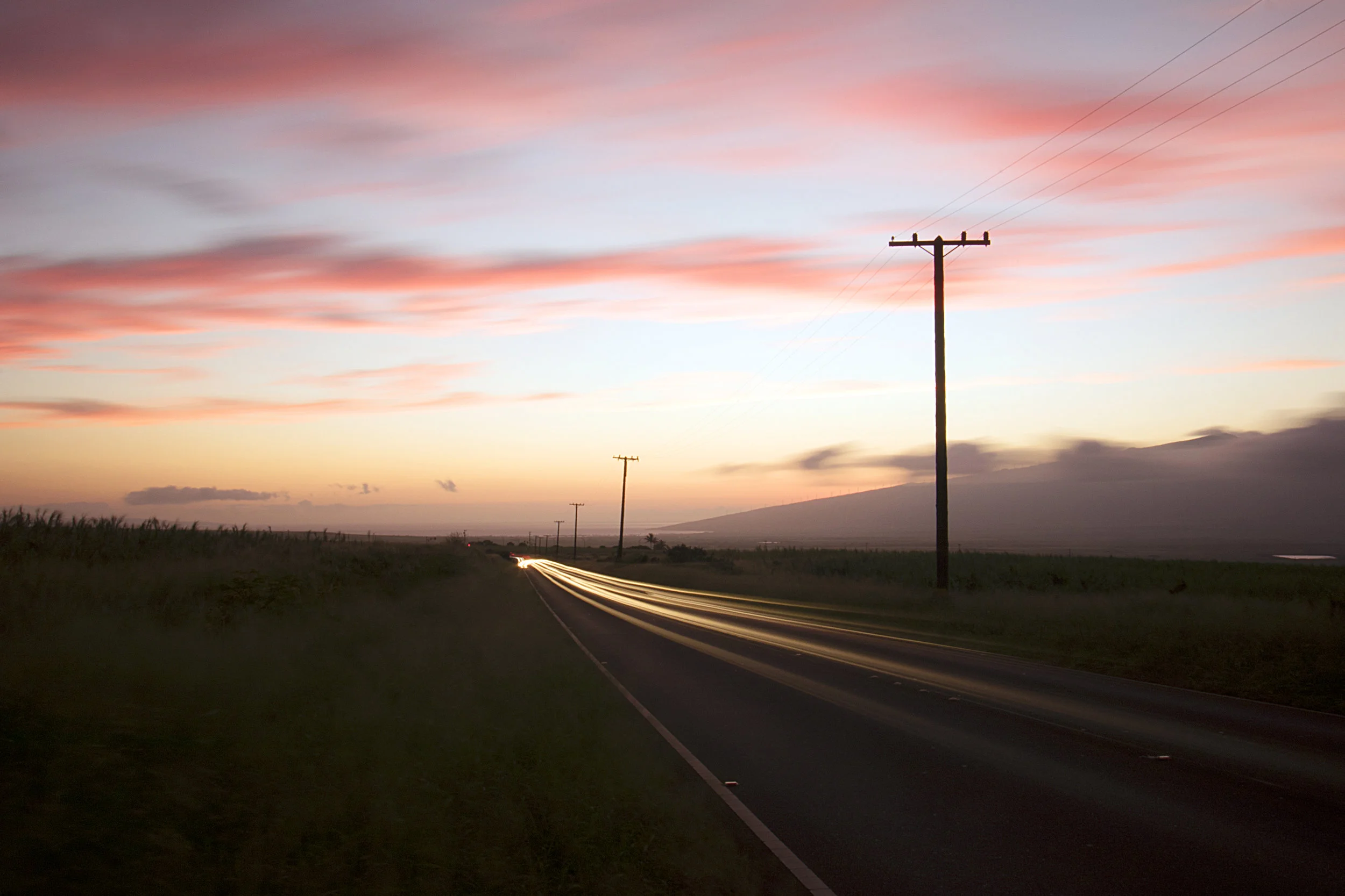 Homeward Bound