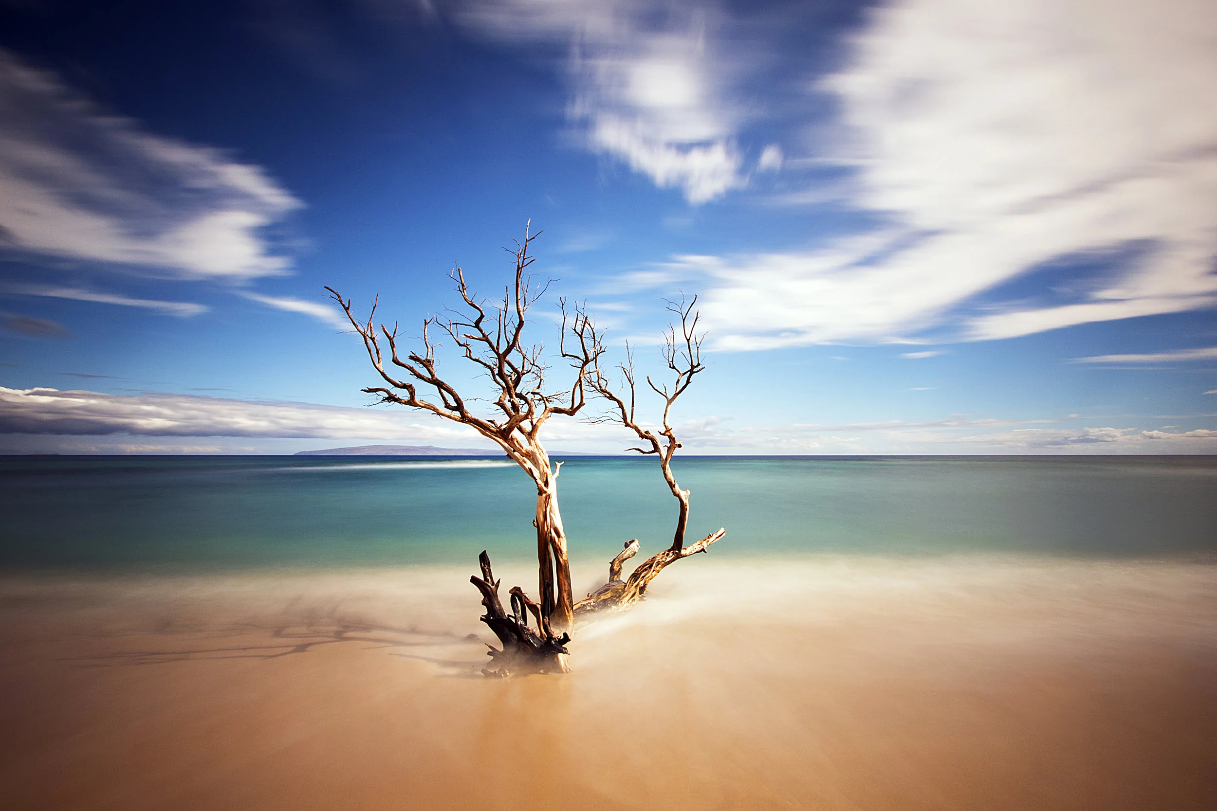 And She Stands Alone