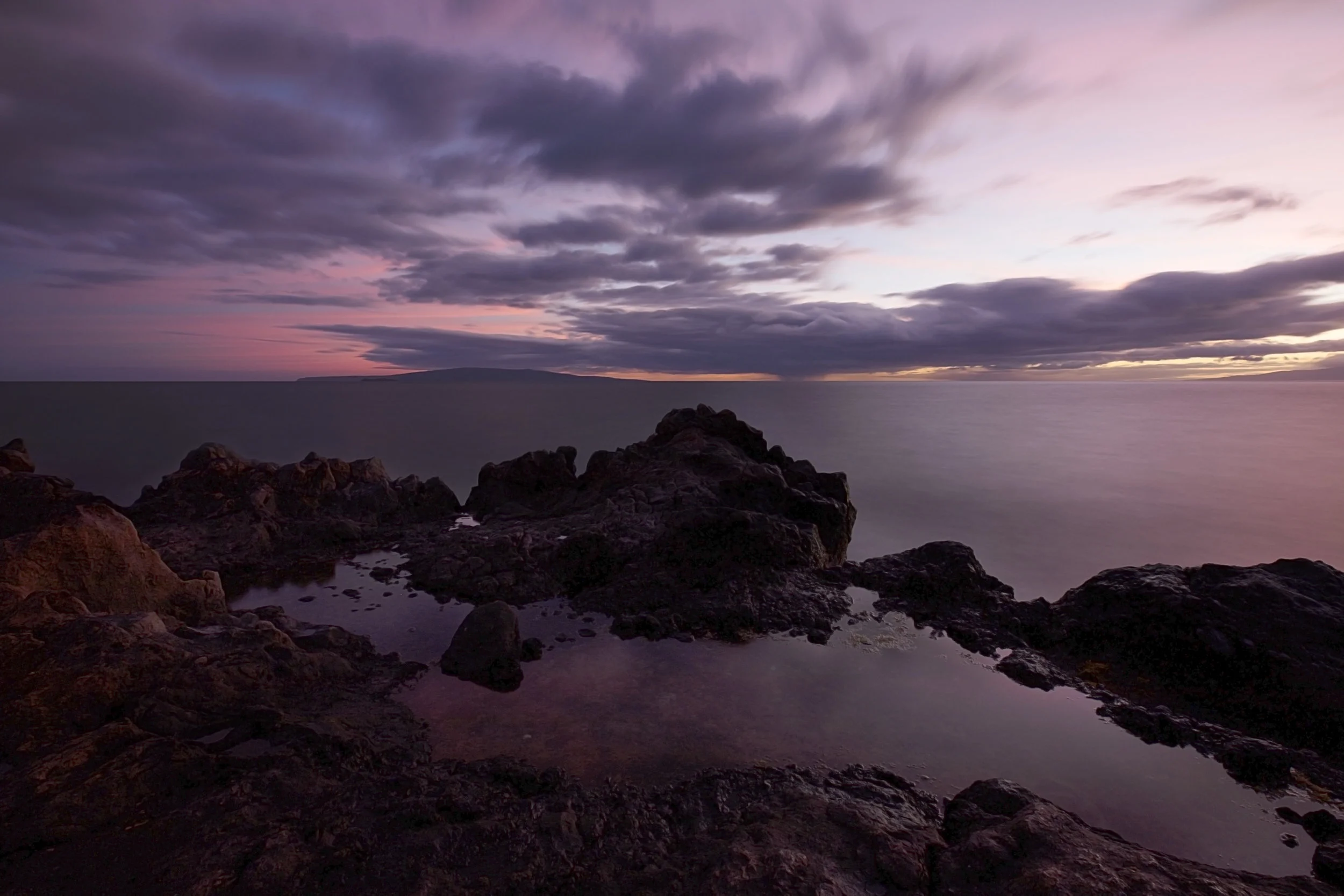 The Purple Pool