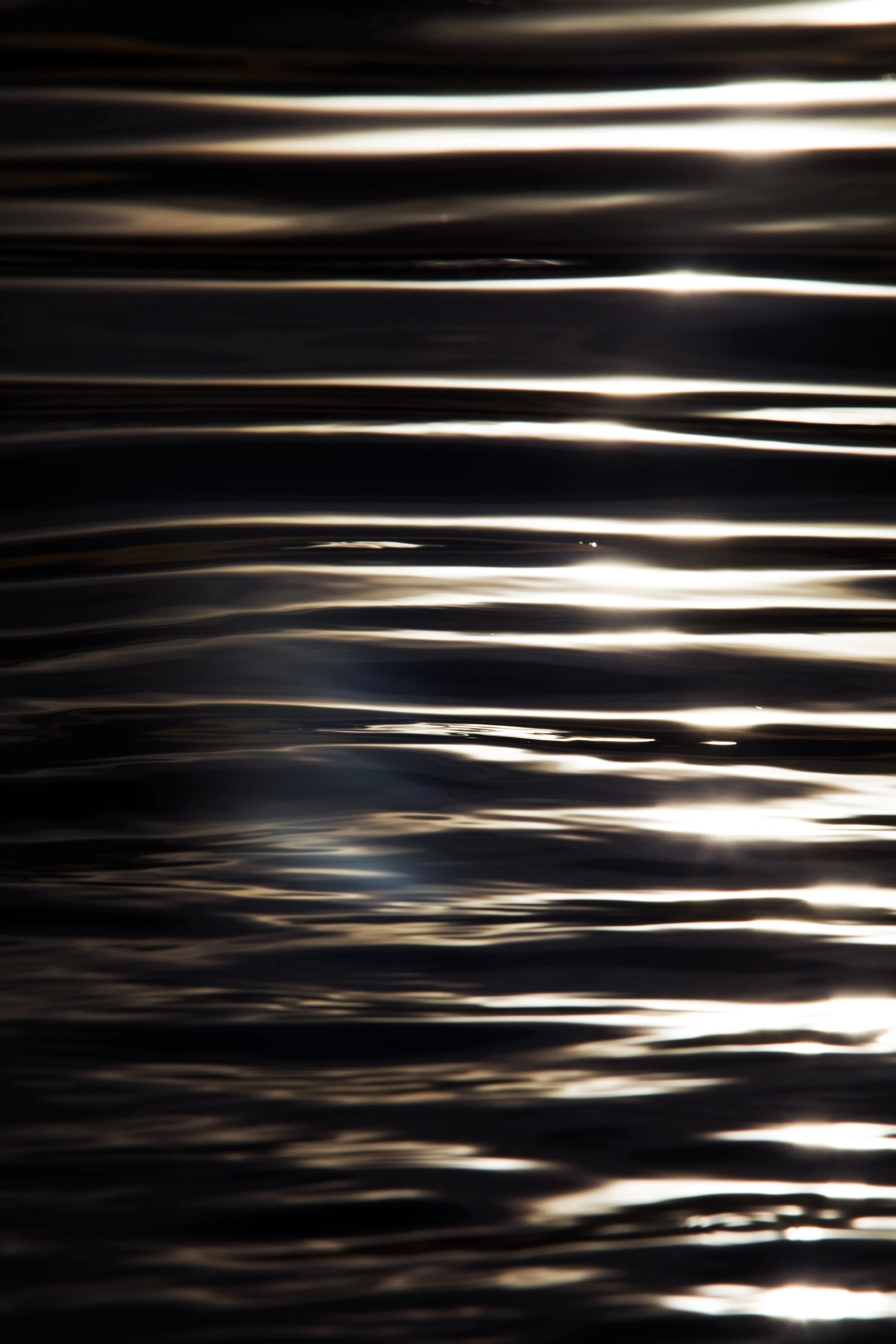 In Light Of Darkness