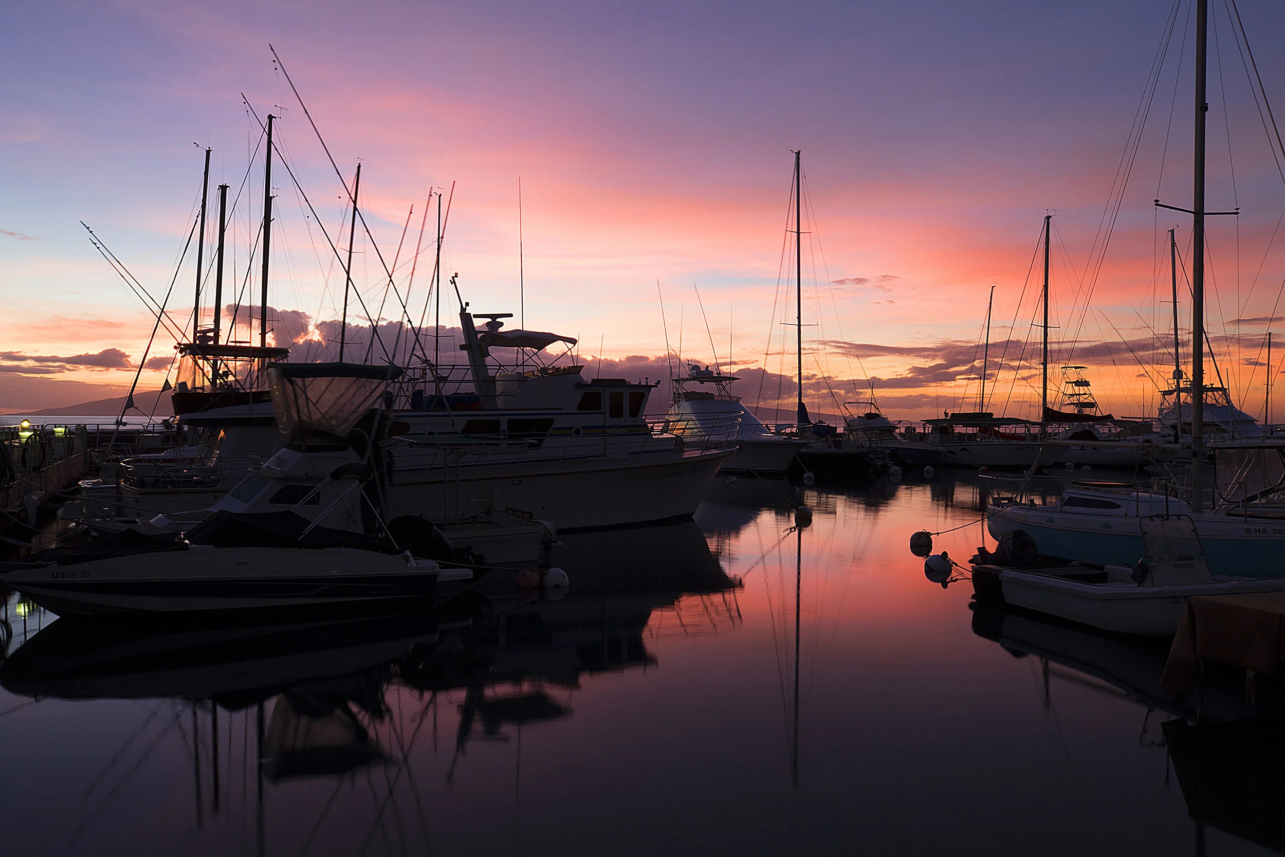 Harbor Twilight