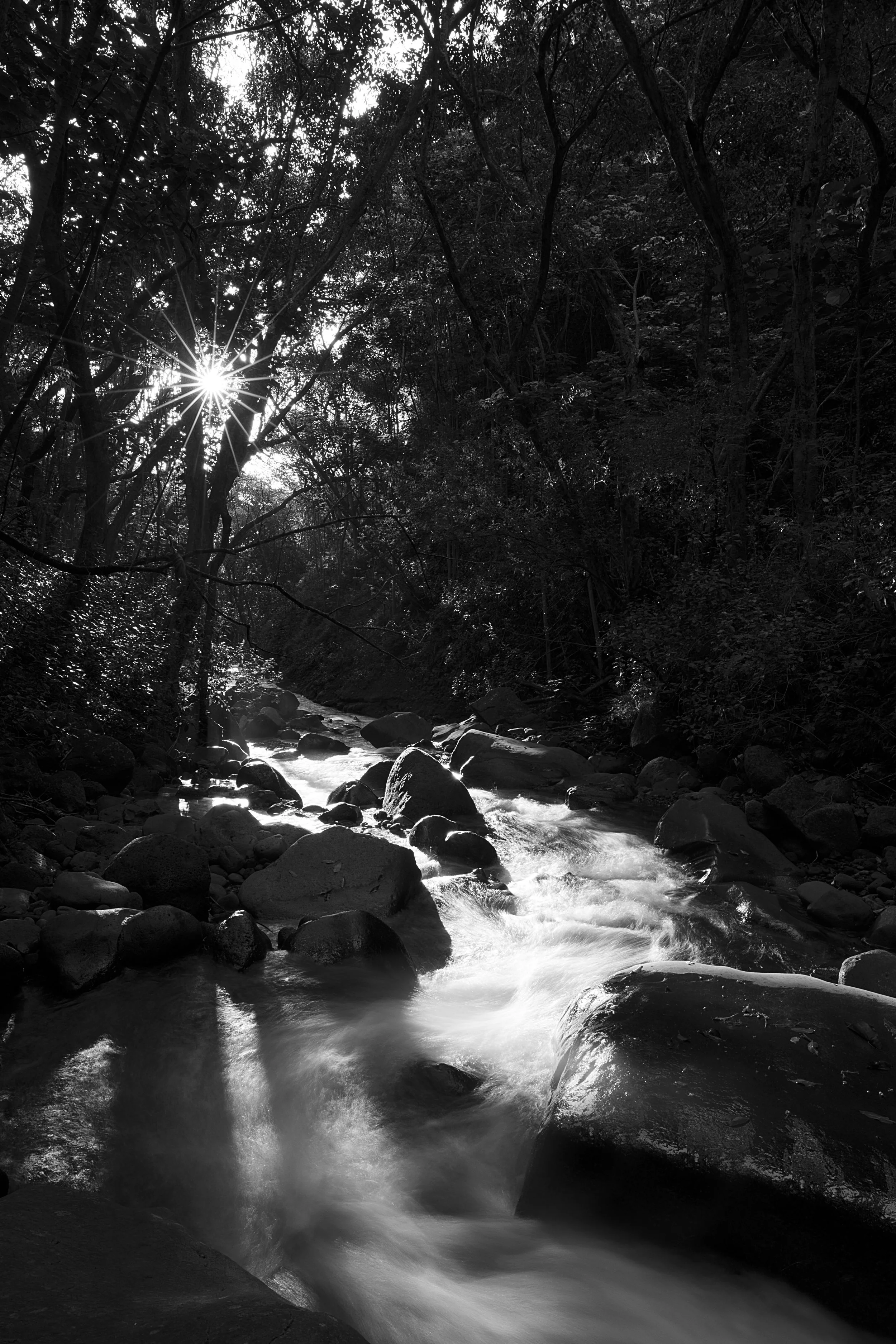 Moody Light