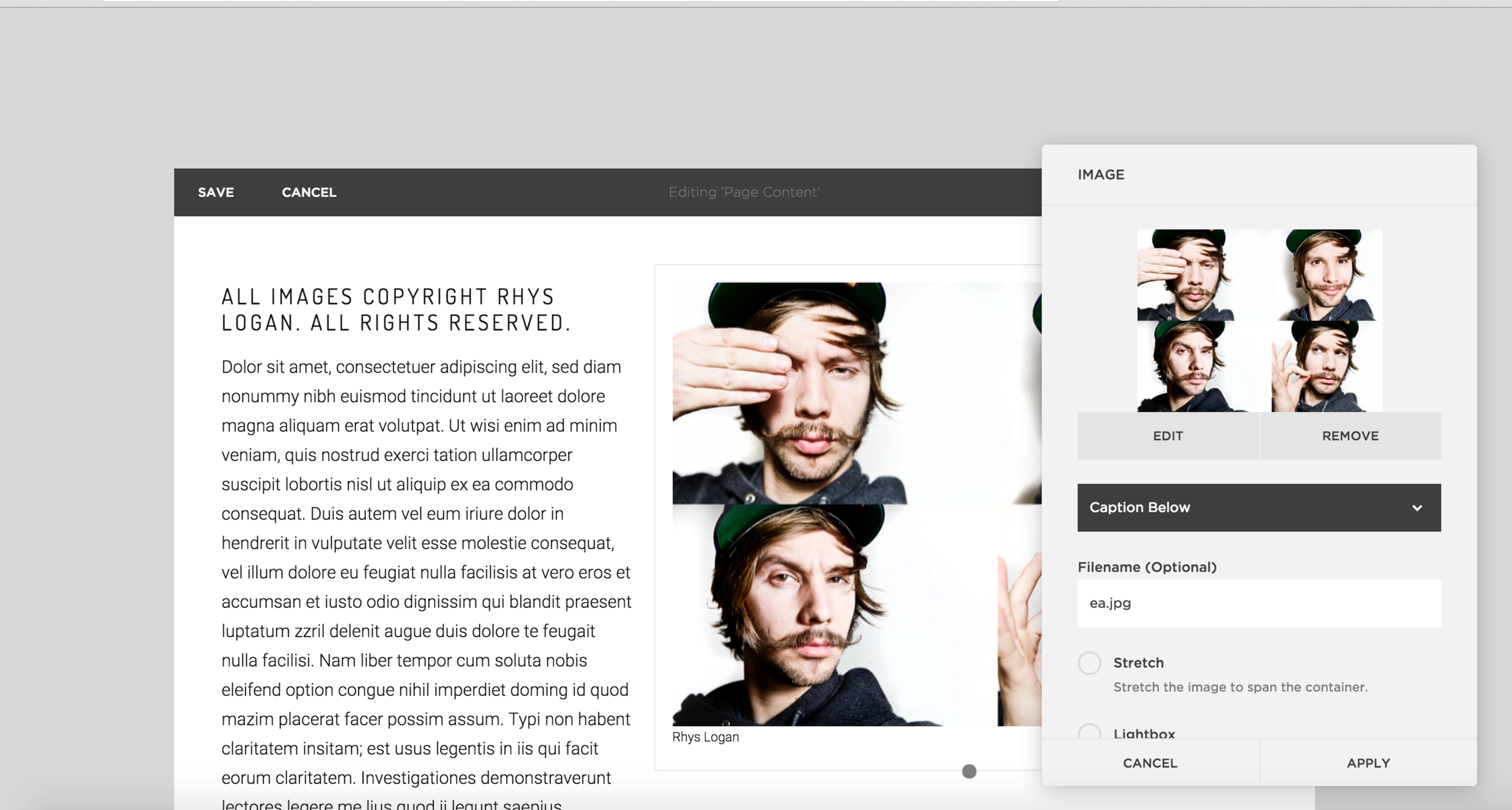 2.3 ❧ Placeholder popout panel appears