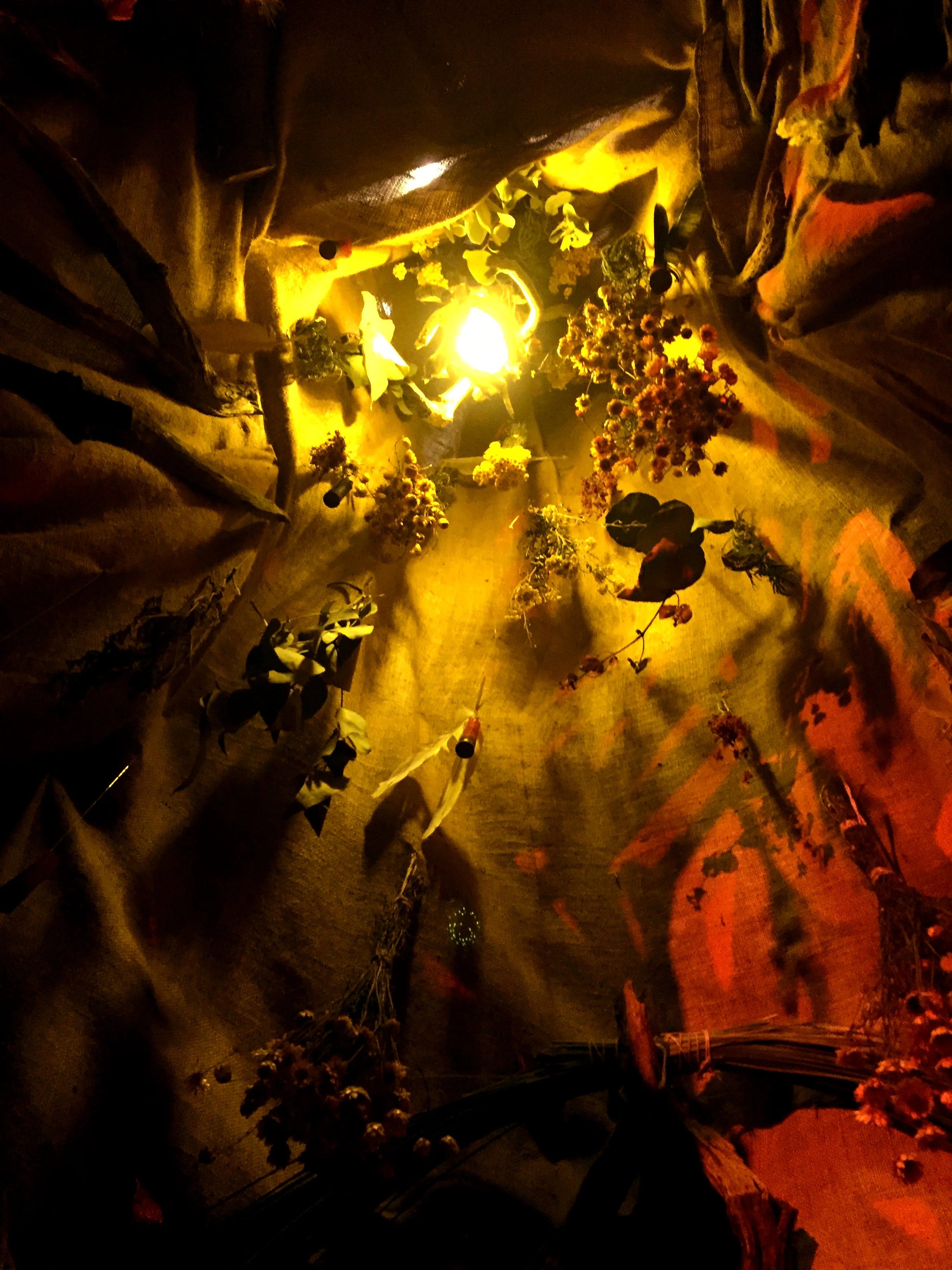 looking up from within the belly at night.