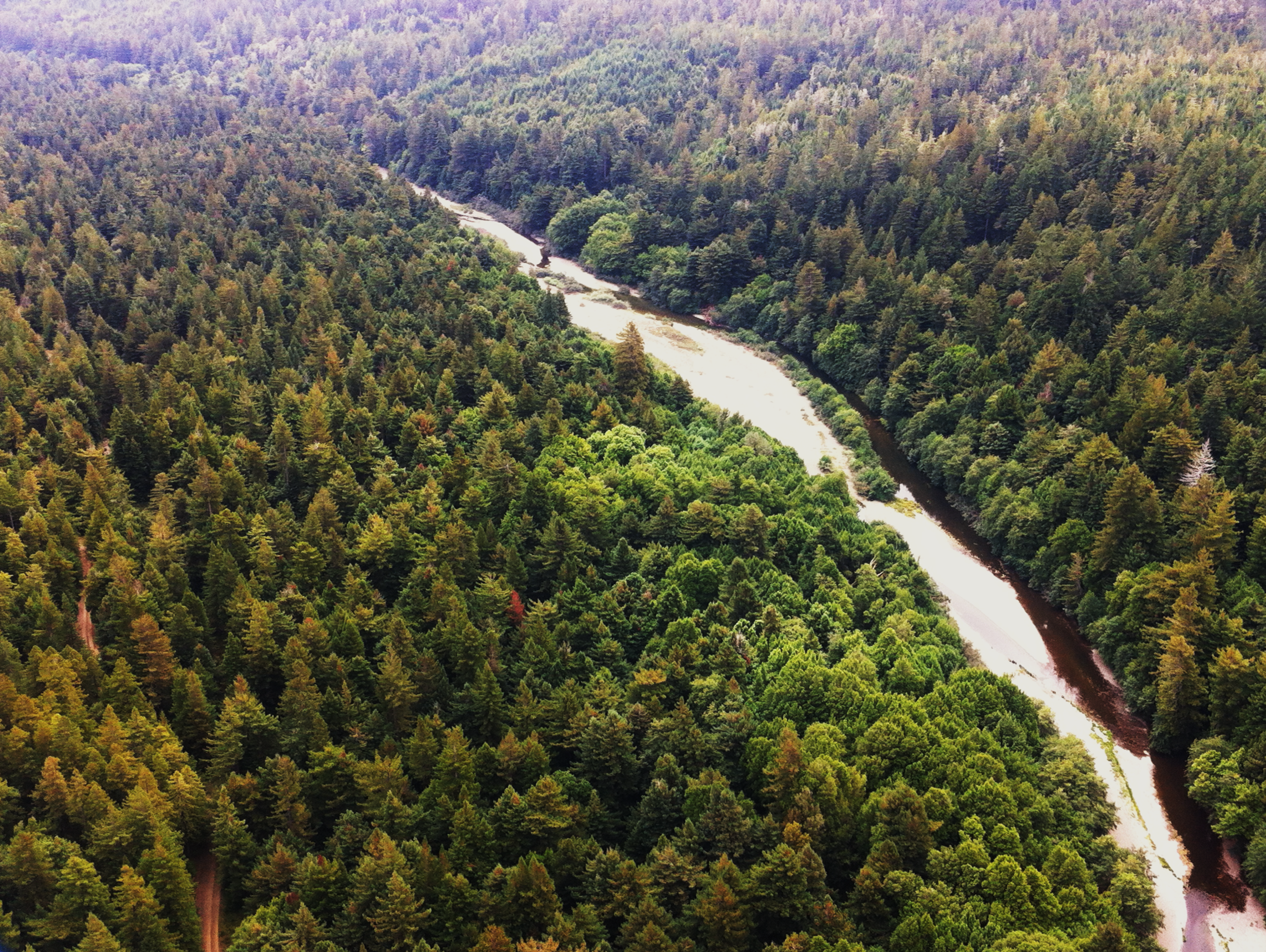 Gualala Redwoods, Inc