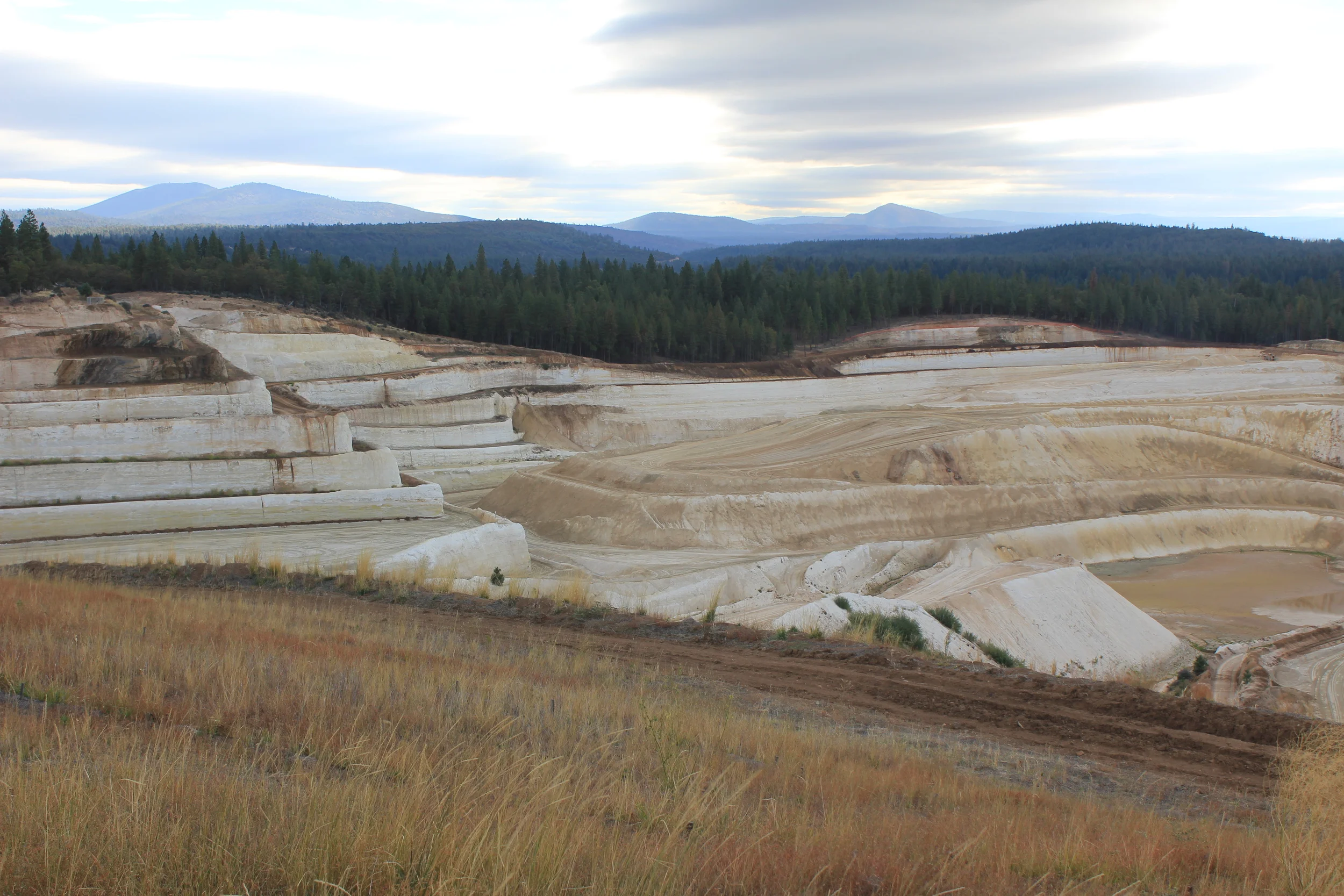 Dicalite Minerals Corporation 