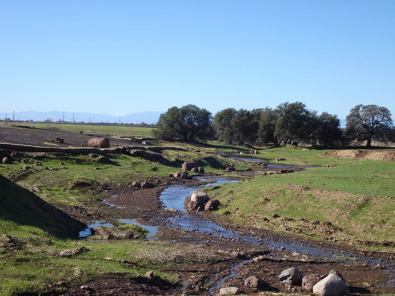 Humboldt Burn Dump Remediation