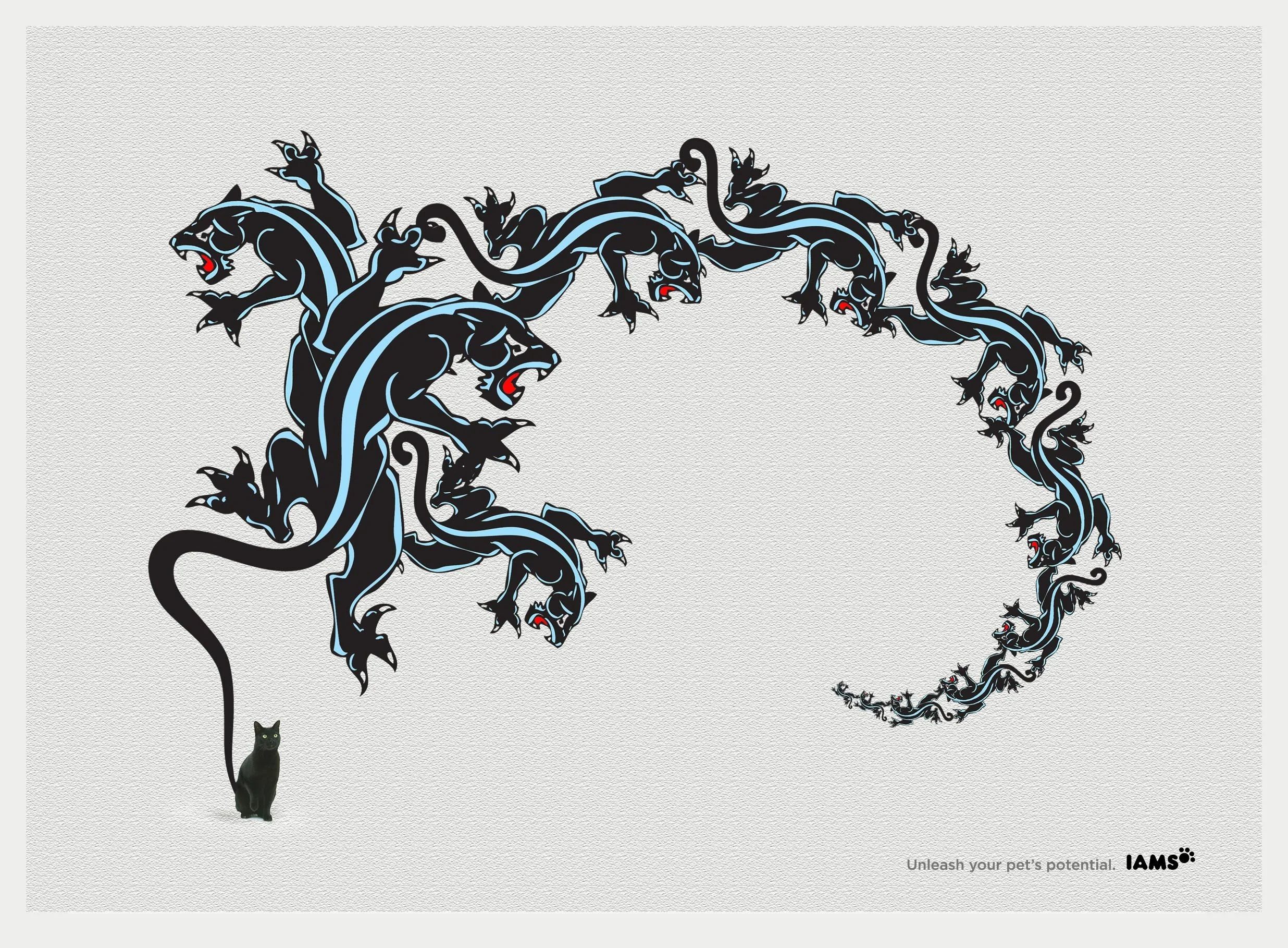 Tattoo-WEB.jpg